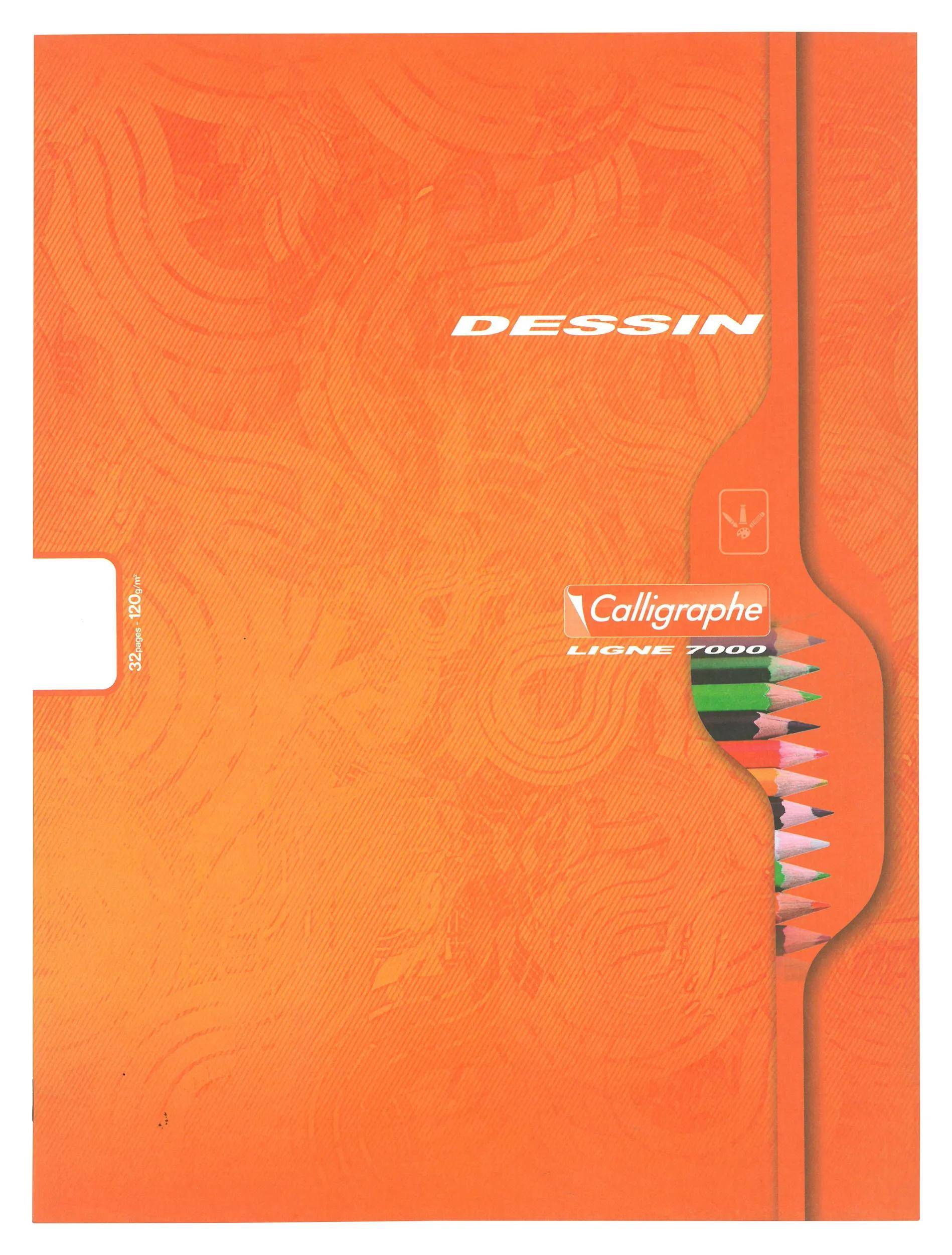 Calligraphe 10x Spiralheft 3D 12X12 100 BL TEDDY - Sortiert 7553C