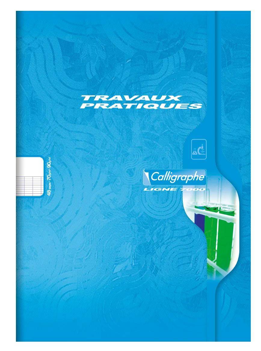 Calligraphe 20x Spiralheft 3D 12X12 100 BL TEDDY - Sortiert 7597C