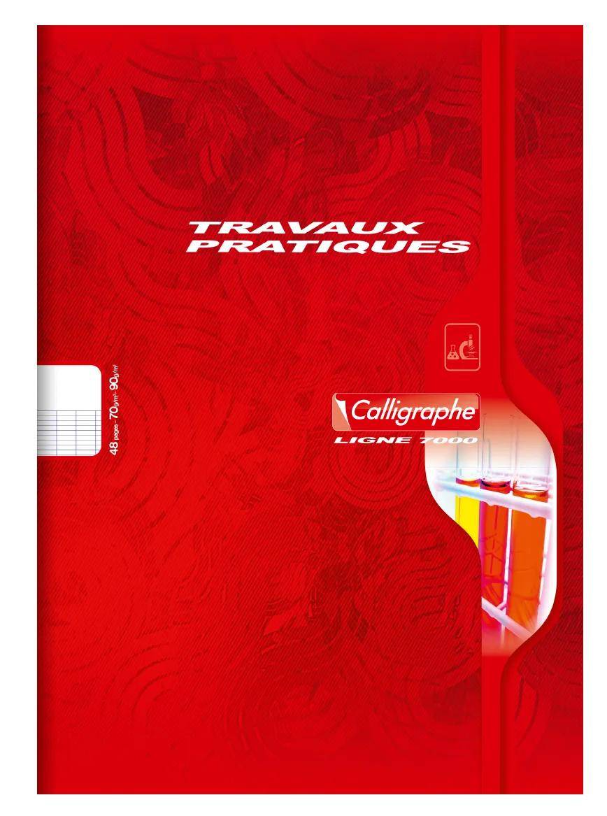 Calligraphe 20x Spiralheft 3D 12X12 100 BL TEDDY - Sortiert 7597C