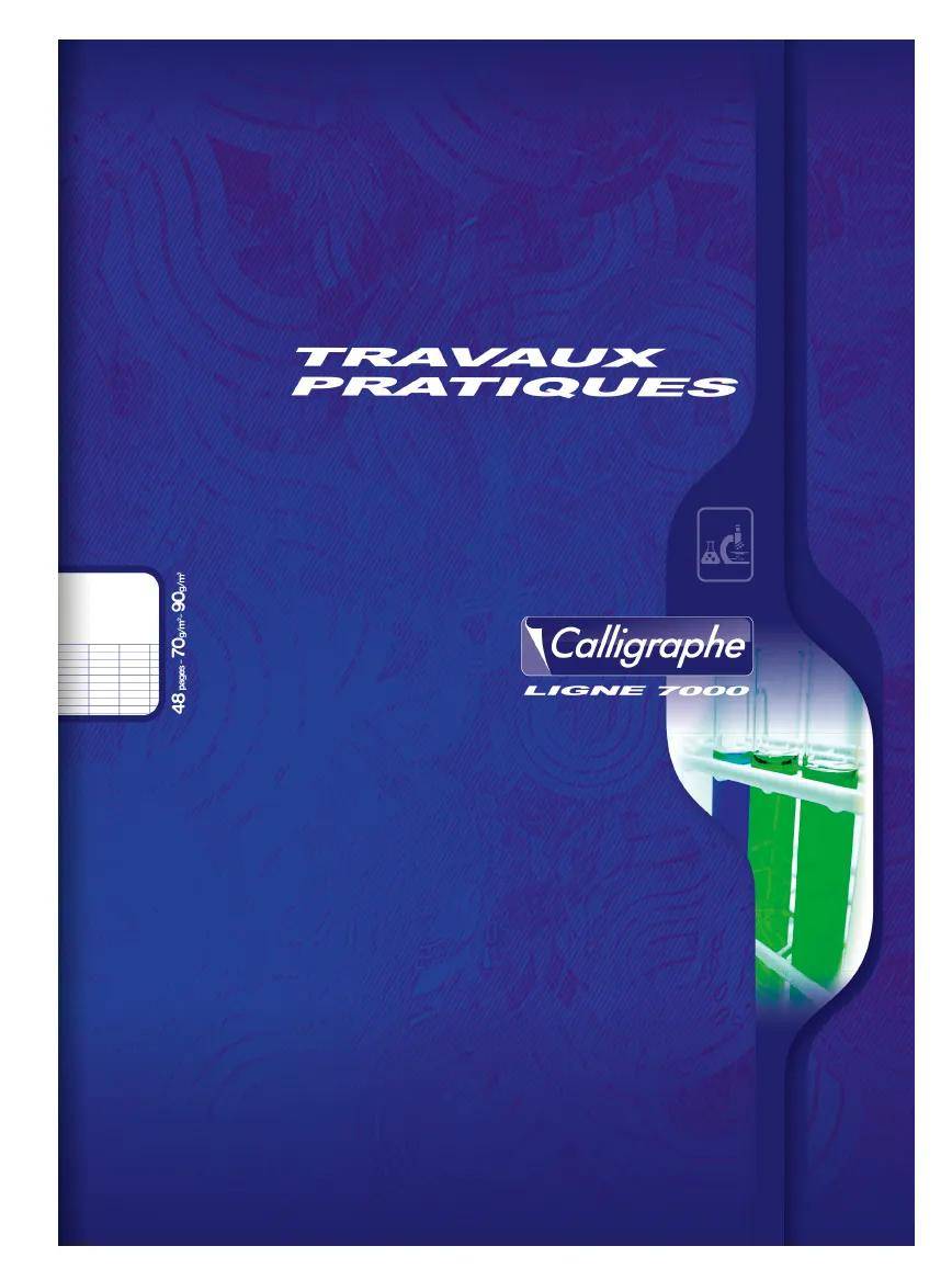 Calligraphe 20x Spiralheft 3D 12X12 100 BL TEDDY - Sortiert 7597C