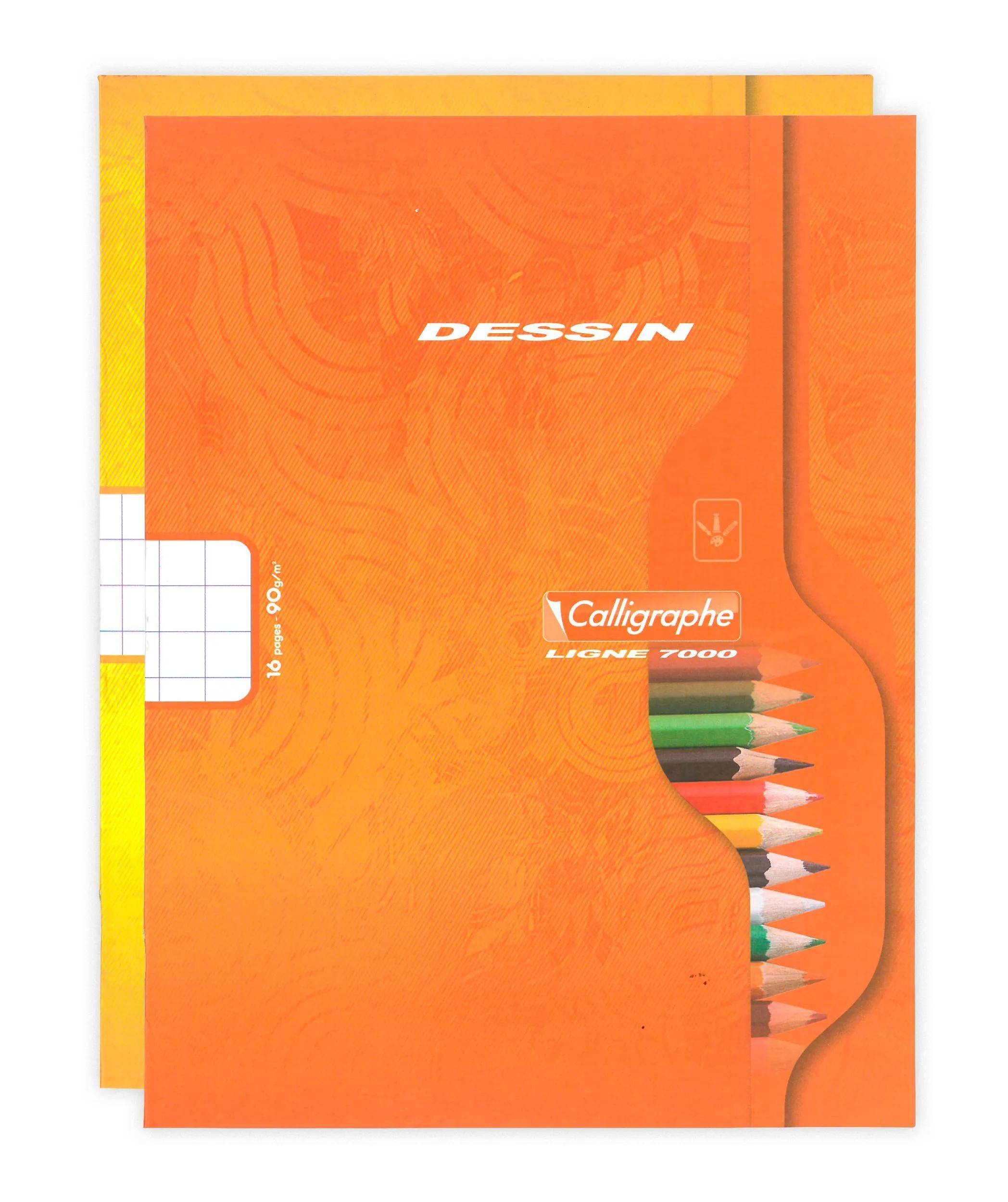 Calligraphe 25x Zeichenheft 17x22cm kar 10x10 90g - Sortiert 552C
