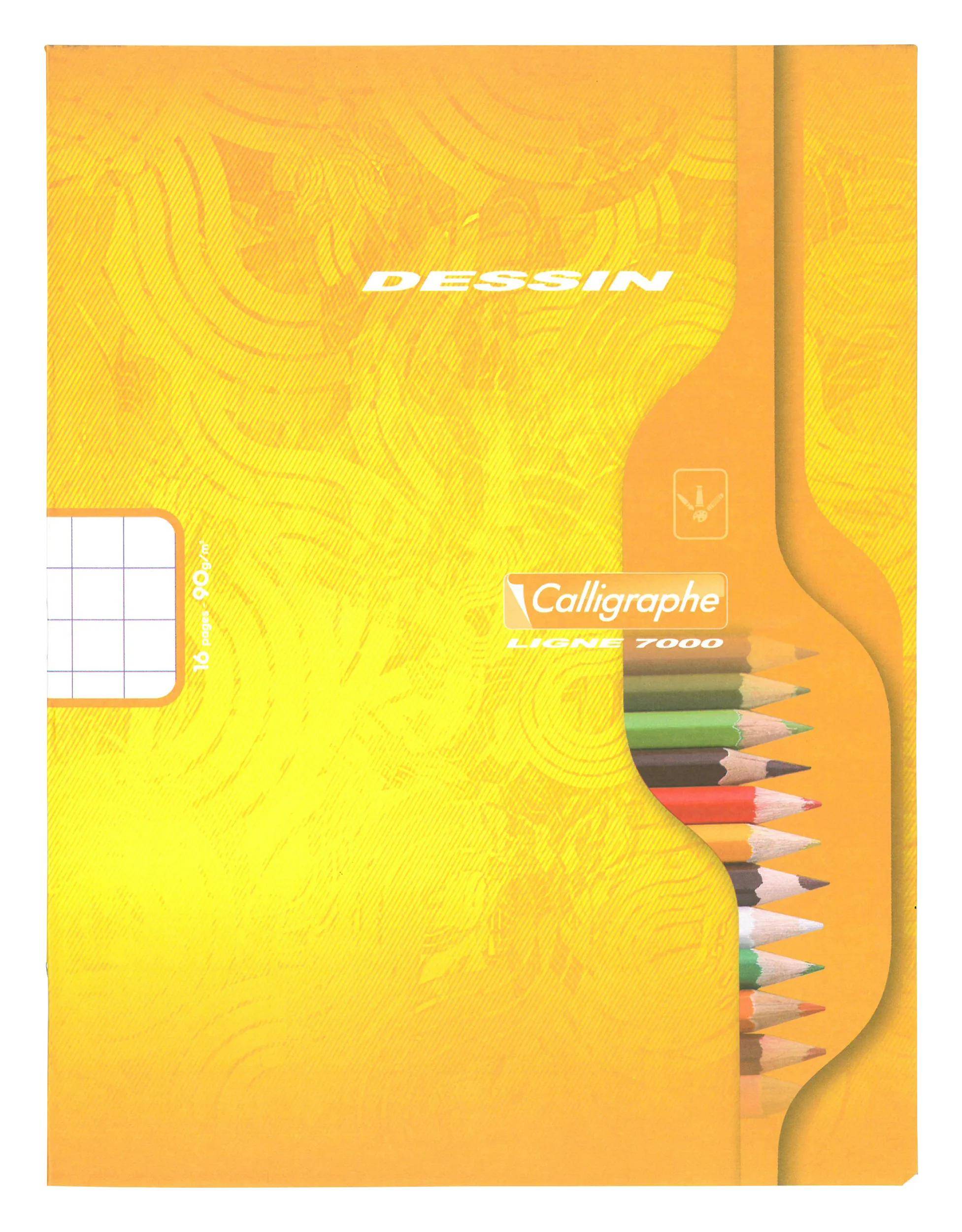 Calligraphe 25x Zeichenheft 17x22cm kar 10x10 90g - Sortiert 552C