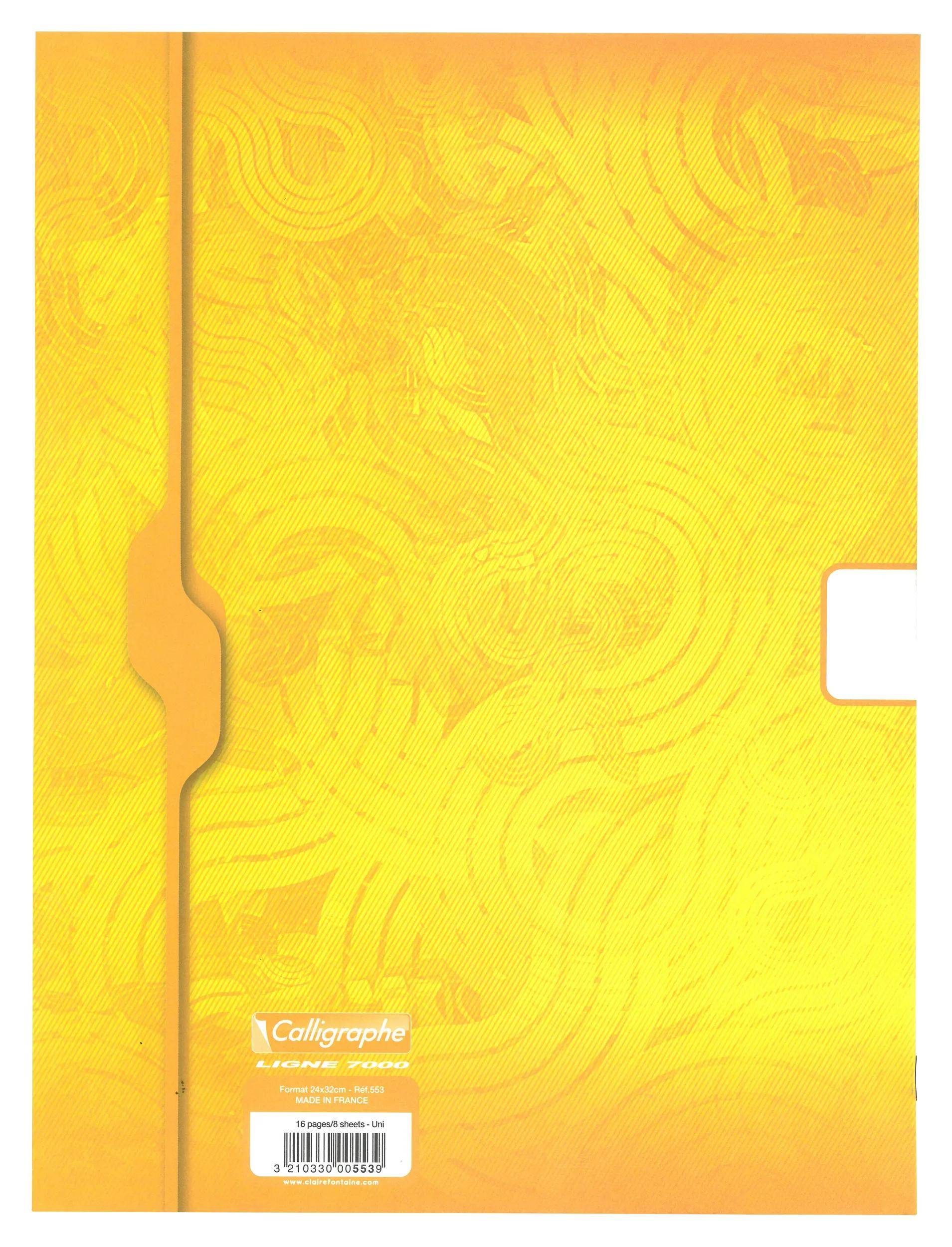 Calligraphe 25x CHEV Schlampermappchen FLACH - Sortiert 553C