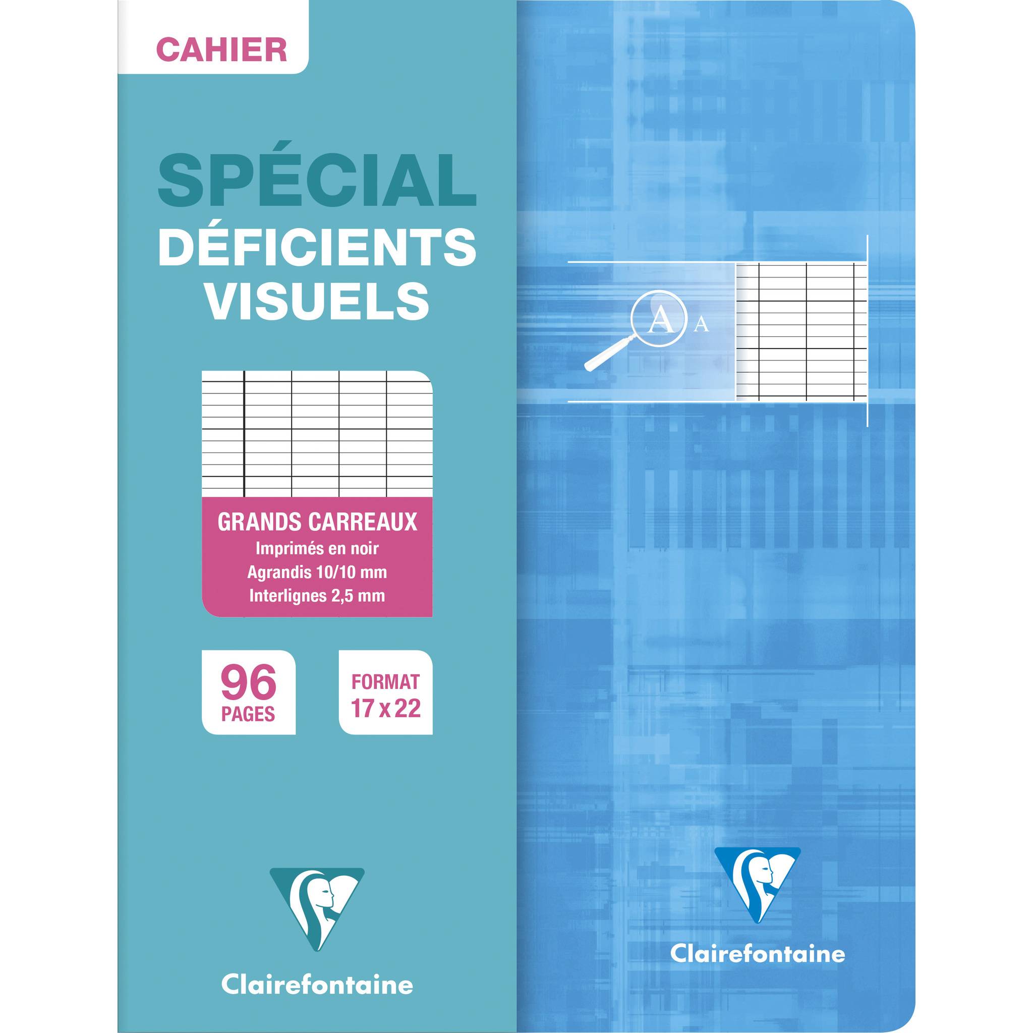 Clairefontaine 10x PIQURE DEFICIENTS VISUELS 17X22 96P 90G - Sortiert 63796C