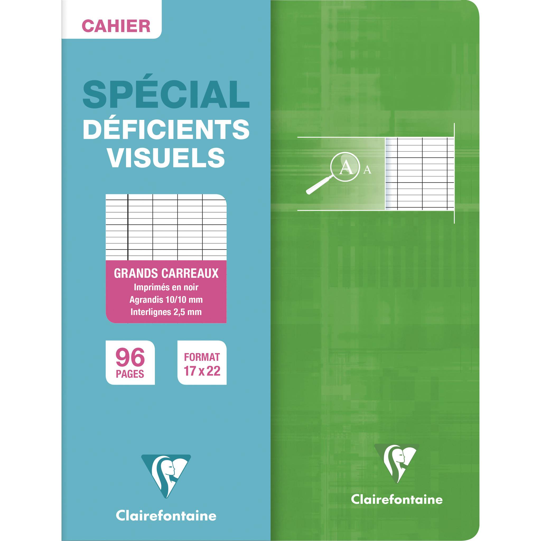 Clairefontaine 10x PIQURE DEFICIENTS VISUELS 17X22 96P 90G - Sortiert 63796C