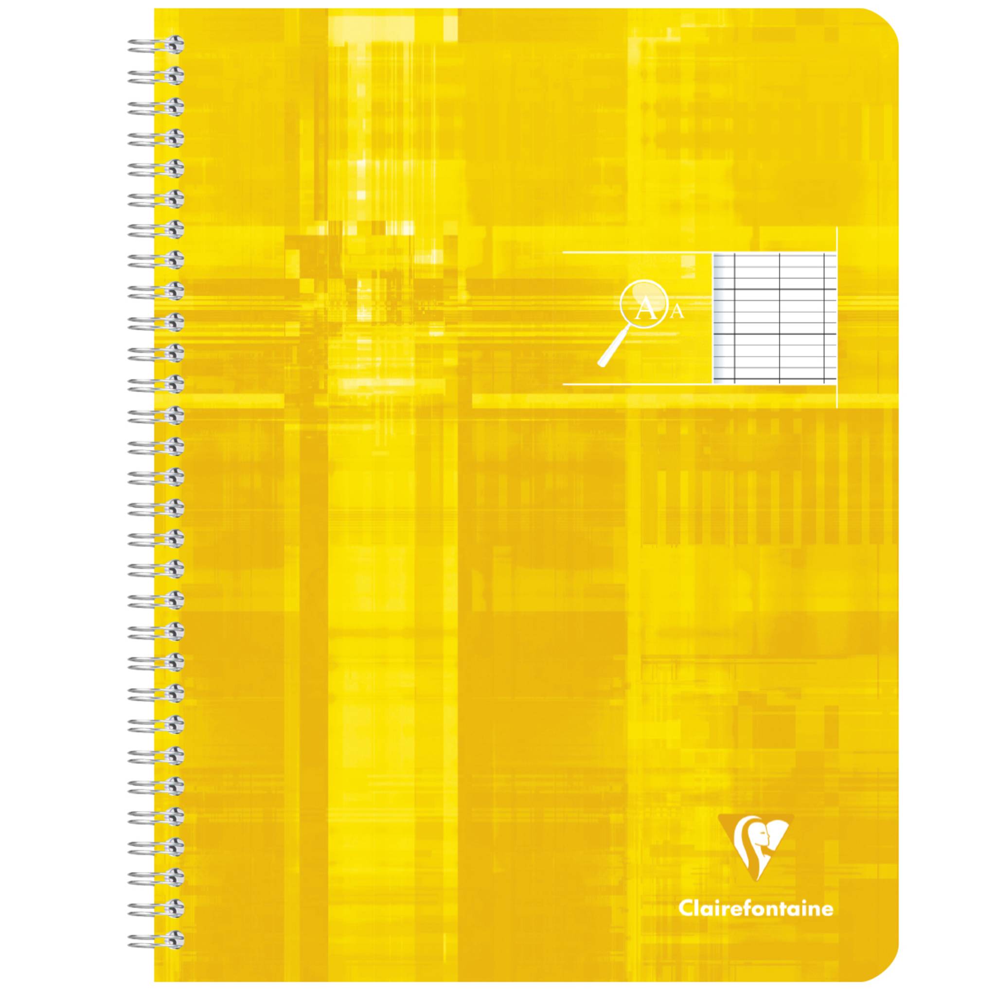 Clairefontaine 10x INTEGRALE DEFICIENTS VISUELS 17X22 100P - Sortiert 68796C