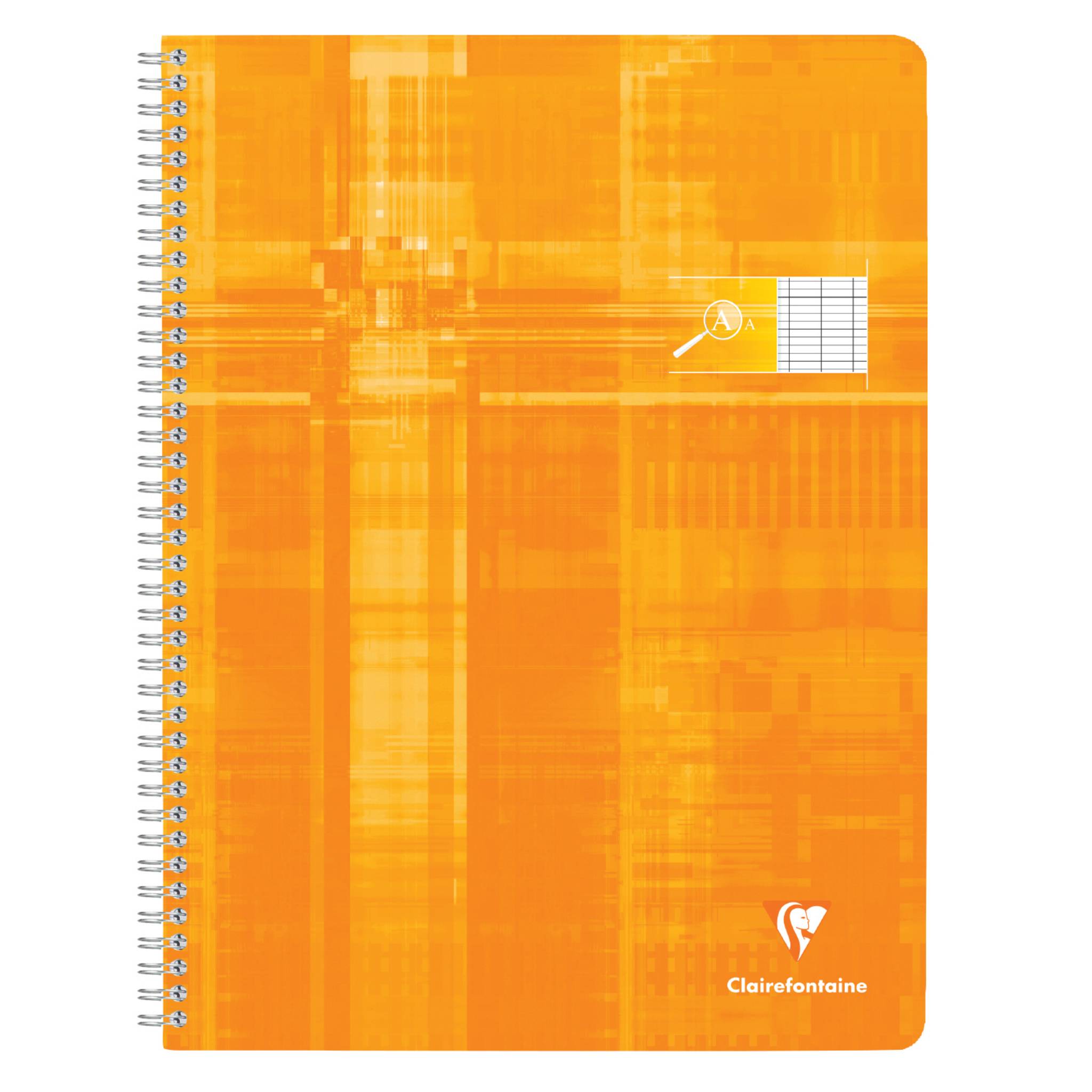 Clairefontaine 10x INTEGRALE DEFICIENTS VISUELS 24X32 100P - Sortiert 68396C