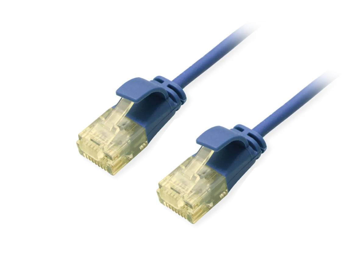 Zwei blaue Ethernet-Netzwerkkabelstecker mit klaren RJ45-Steckern auf weißem Hintergrund dargestellt.