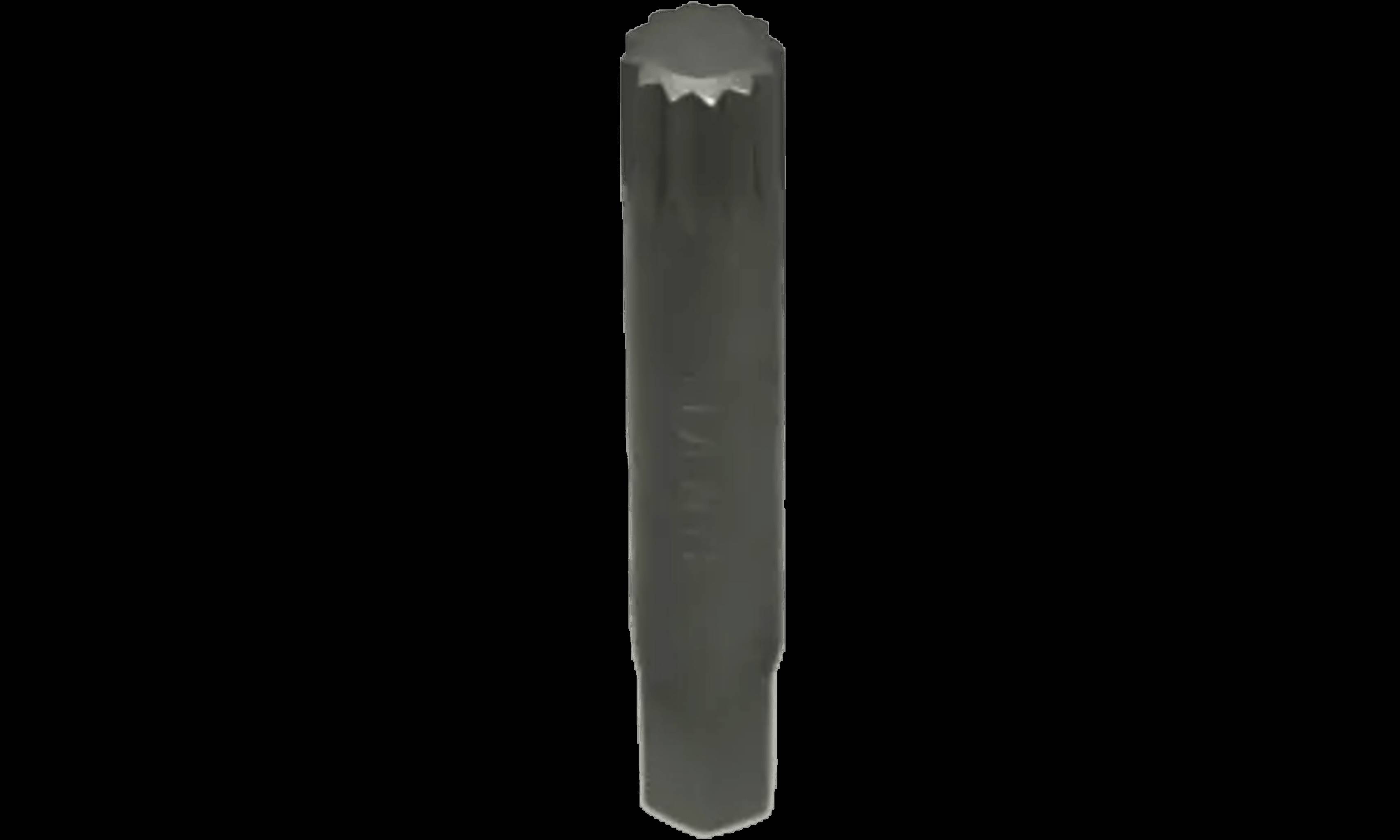 M12 Vielzahn Nuss, 10mm Innensechskant Vielzahn, Cr-V Keilwellenbohrer