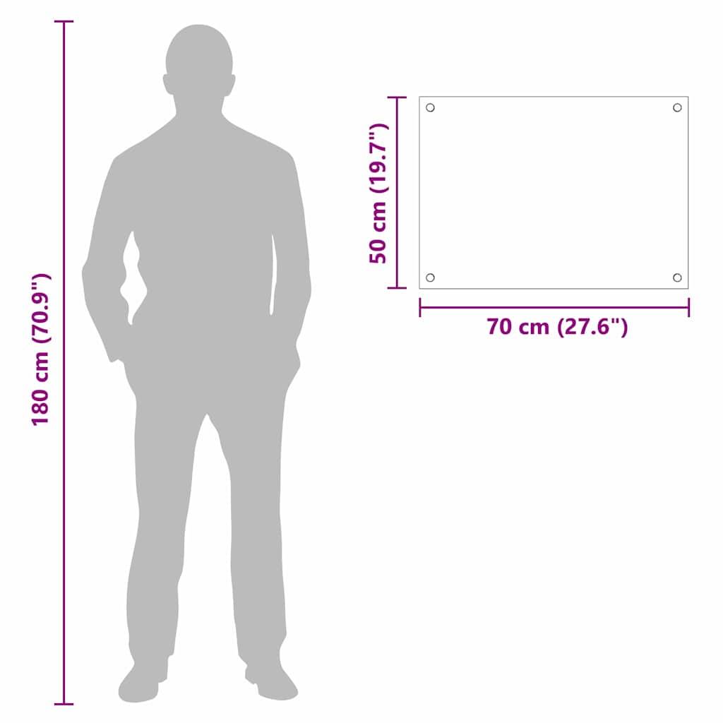 vidaXL Küchenrückwand Schwarz 70 x 50 cm Gehärtetes Glas