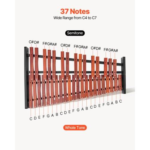 VEVOR Glockenspiel, 37 Noten, professionelles Xylophon-Schlaginstrument aus Holz, mit höhenverstellbarem Ständer aus Kohlenstoffstahl, 4 Schlägeln