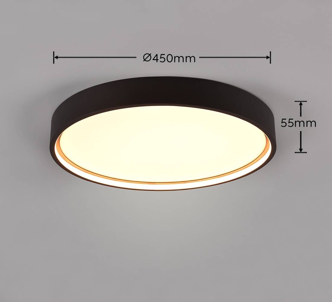 TRIO LED-Deckenleuchte Doha 641310232 schwarz, 29 W, 3260 lm, CCT