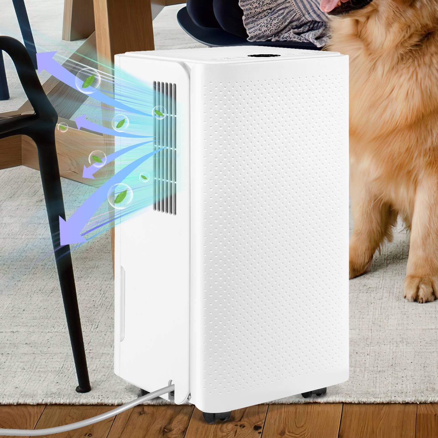 Luftentfeuchter 16L/Tag Smart Auto-Funktion Küche Badezimmern Raumentfeuchter