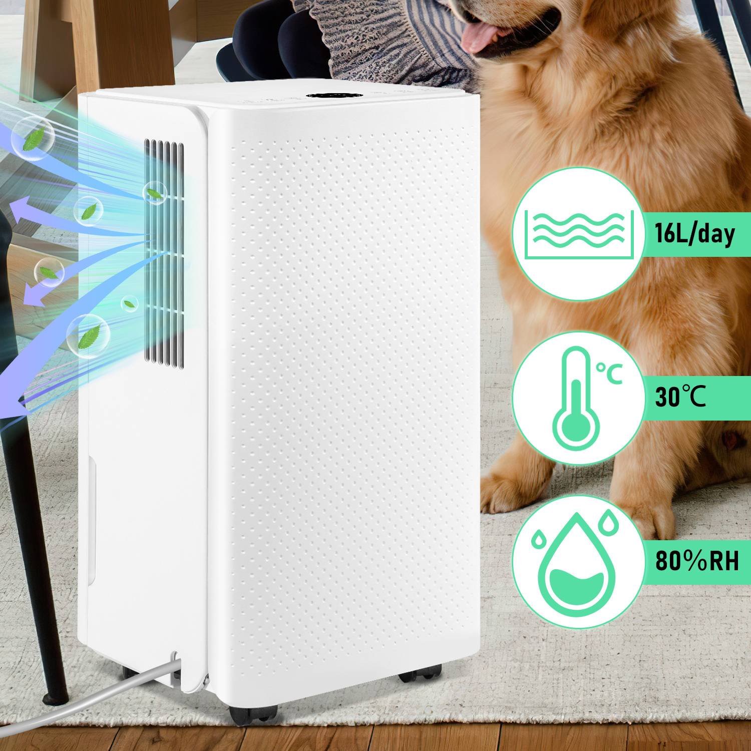 Luftentfeuchter 16L/Tag Smart Auto-Funktion Küche Badezimmern Raumentfeuchter