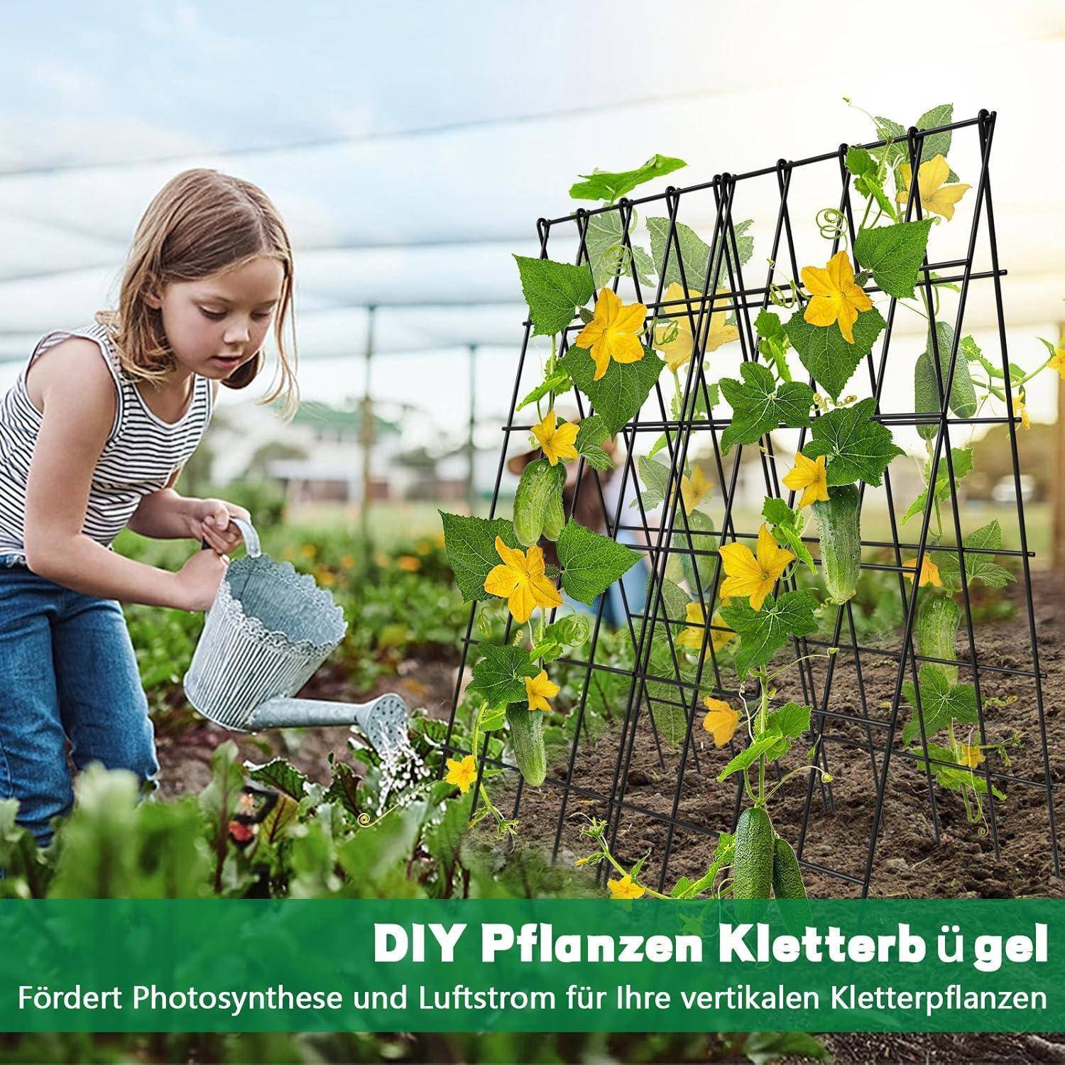 Rankhilfe Metall 2er Set Gurke Tomate Kletterpflanzen Schwarz-Gitter