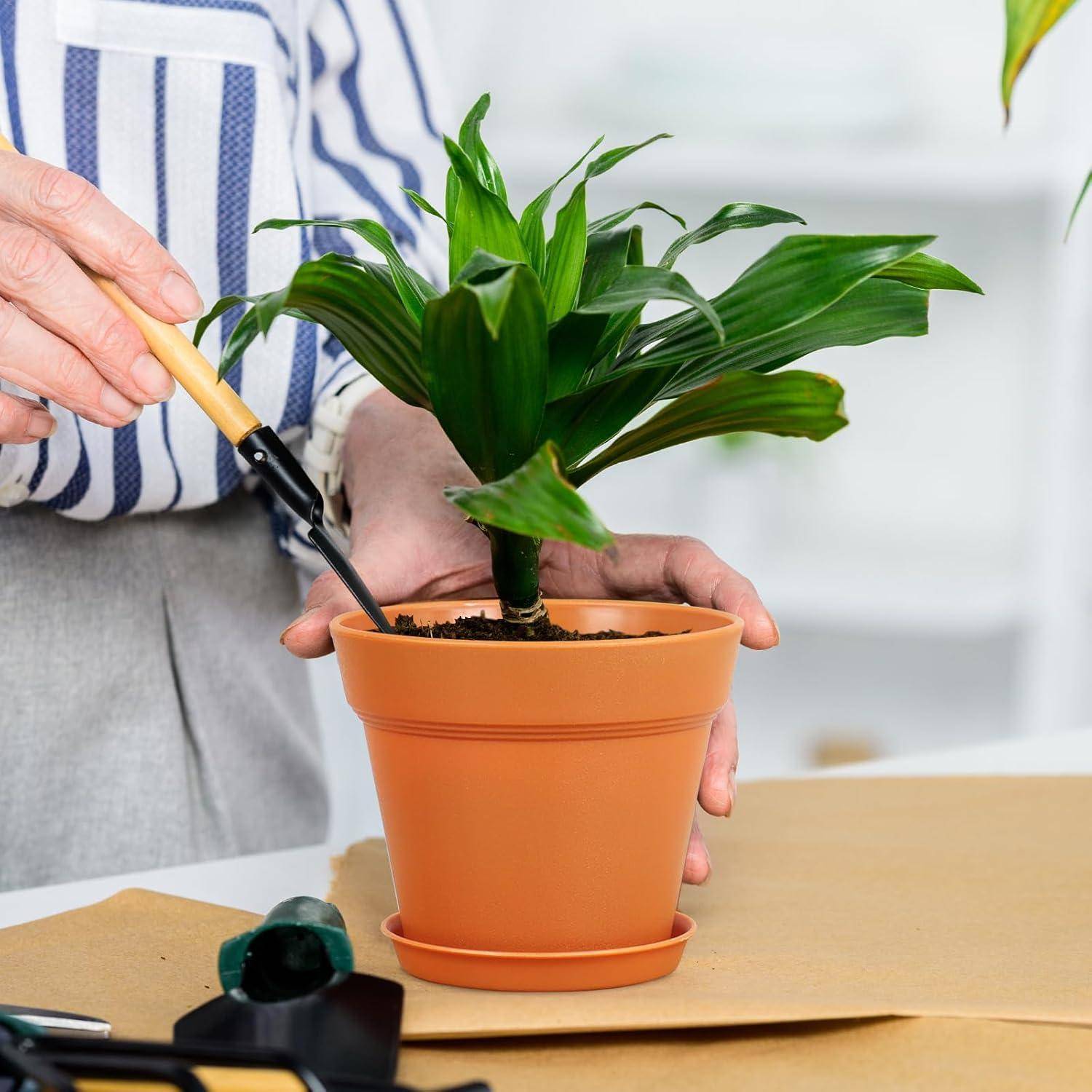 Eine Person mit gestreiftem Hemd benutzt eine Schaufel, um eine kleine grüne Pflanze in einem Terrakottatopf auf einem Tisch zu pflegen.