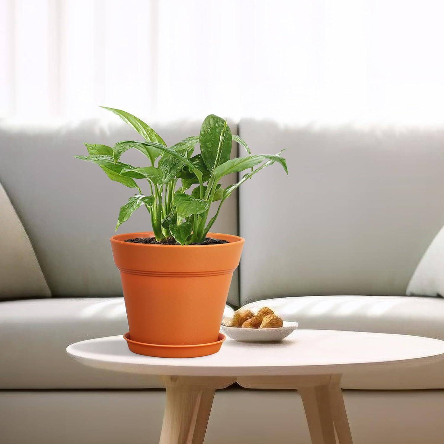 Eine lebendige grüne Zimmerpflanze auf einem kleinen weißen Tisch in einem gemütlichen Wohnzimmer mit einem neutralen Sofa im Hintergrund.