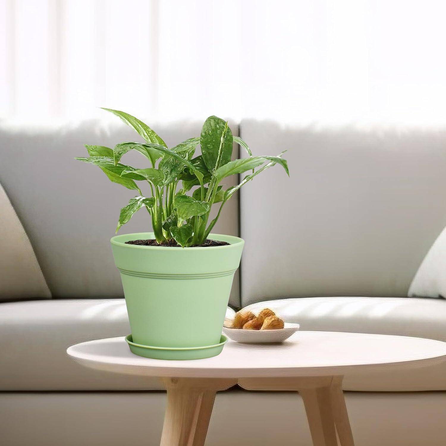 Eine Topfpflanze mit grünen Blättern auf einem Couchtisch, vor einem hellfarbenen Sofa, die eine gemütliche Wohnzimmeratmosphäre schafft.