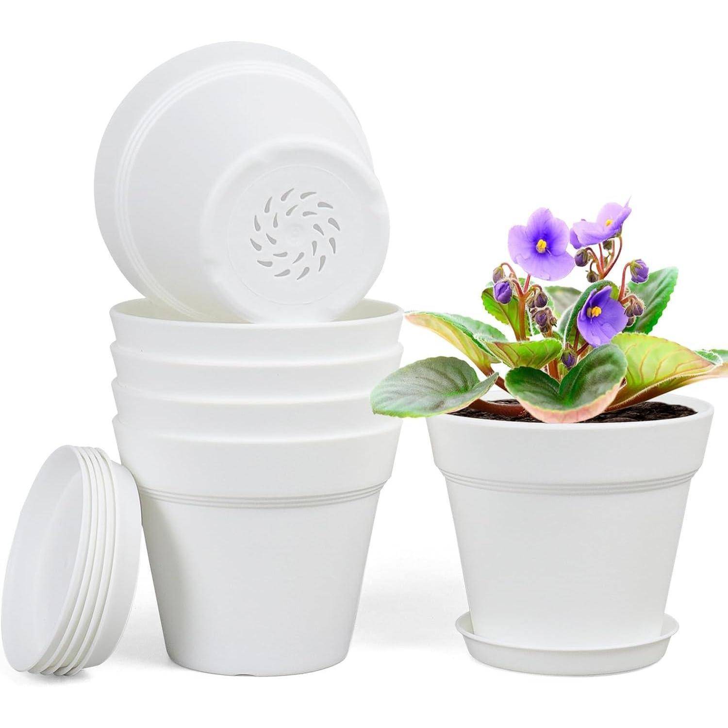 Ein Stapel weißer Pflanzentöpfe links; ein Topf rechts enthält eine blühende Veilchenpflanze mit grünen Blättern und lila Blüten.