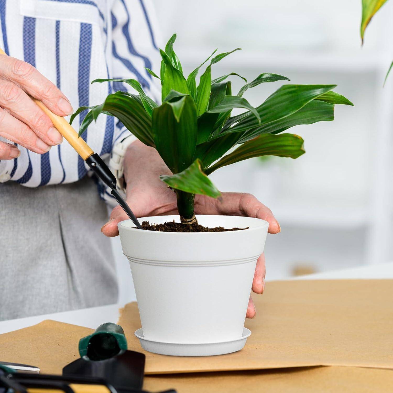 Eine Person beschneidet eine grüne Pflanze in einem weißen Topf mit Gartenscheren, wobei Gartengeräte auf einem Tisch liegen, konzentriert auf Pflanzenpflege.