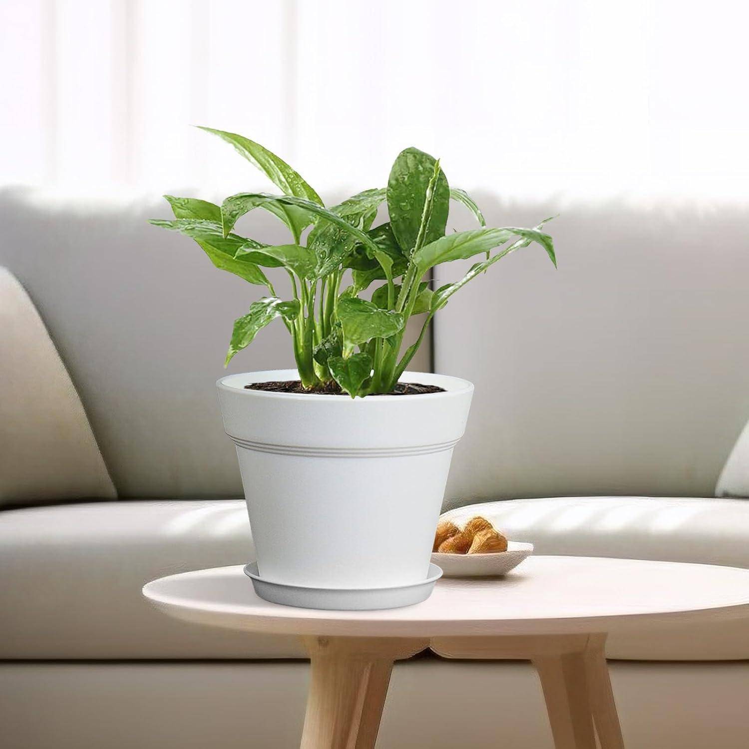 Eine kleine grüne Pflanze in einem weißen Topf steht auf einem runden Holztisch vor einem hellgefärbten Sofa und schafft eine minimalistische Wohnzimmerszene.