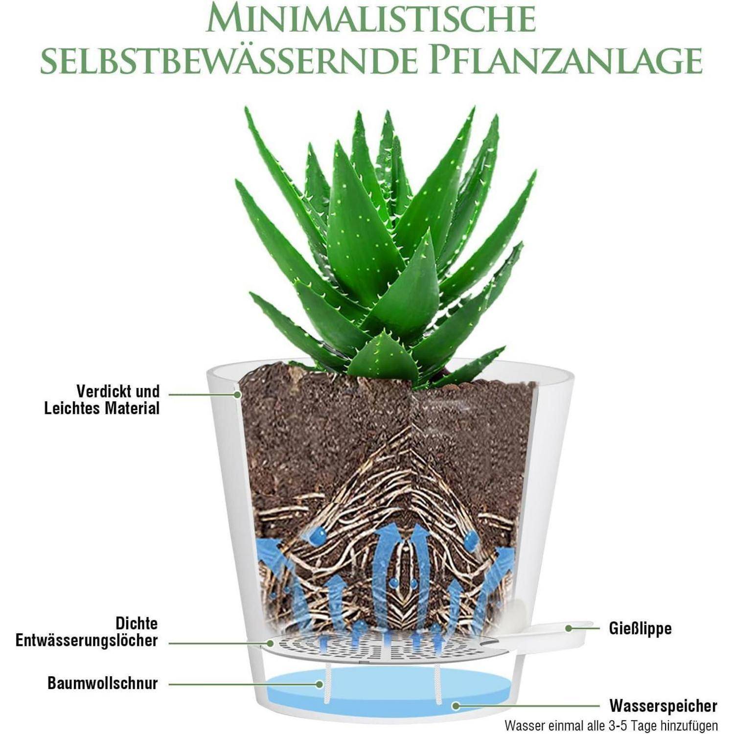 Minimalistische selbstbewässernde Pflanzanlage' zeigt eine Pflanze in einem Behälter. Schichten für Wasserspeicher und Entwässerung sind markiert.