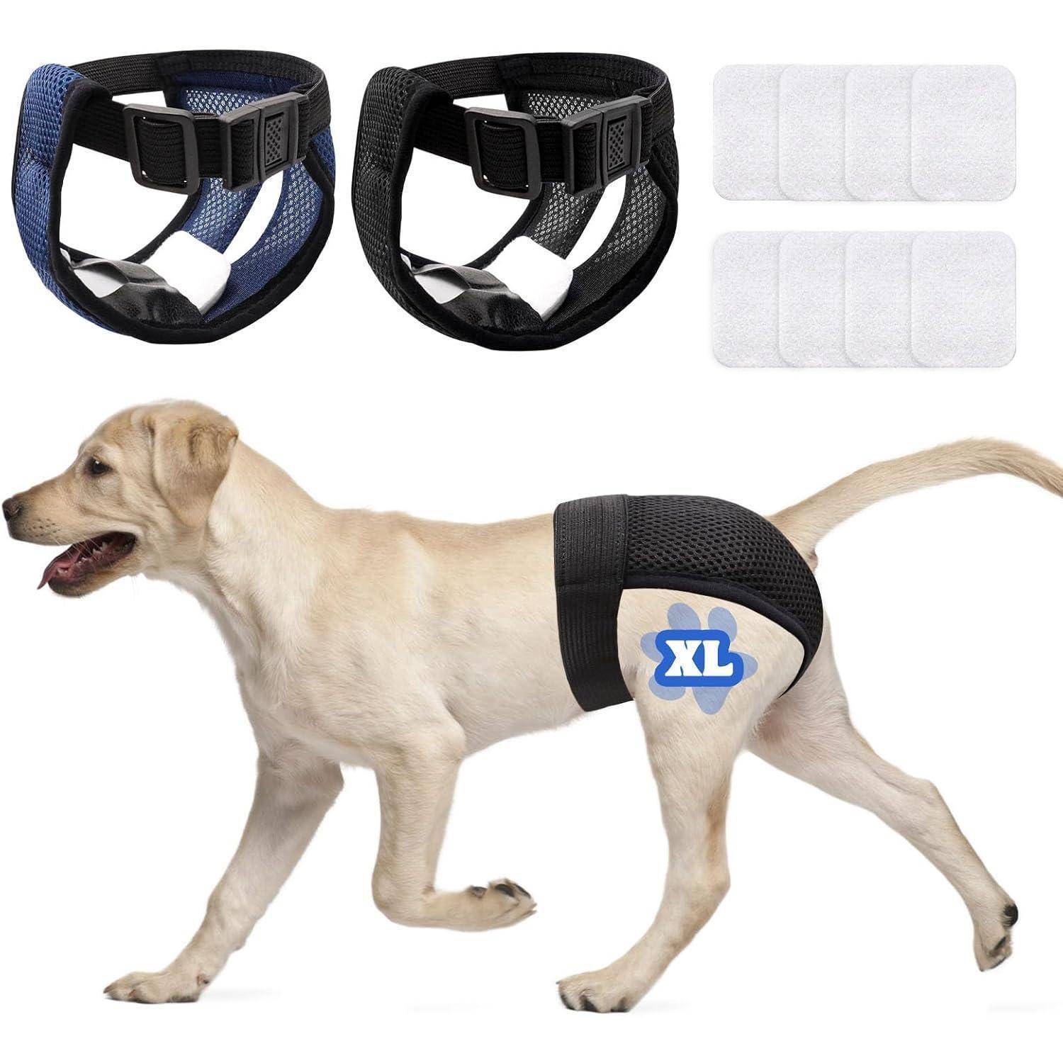 Ein Labrador, der eine mit 'XL' beschriftete Windel trägt, mit zusätzlichen Bildern, die zwei Arten von Hundegeschirren und saugfähige Unterlagen im Hintergrund zeigen.
