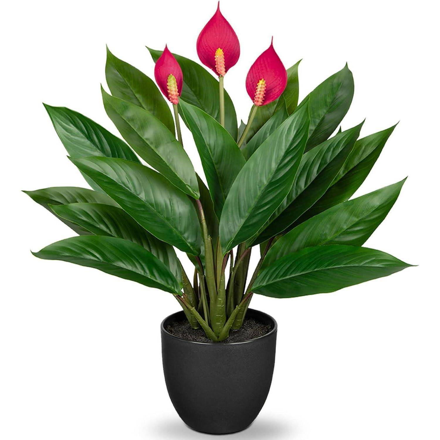 Künstliche Calathea Dekopflanze 43cm Kunstpflanze Grün 22 Blätter