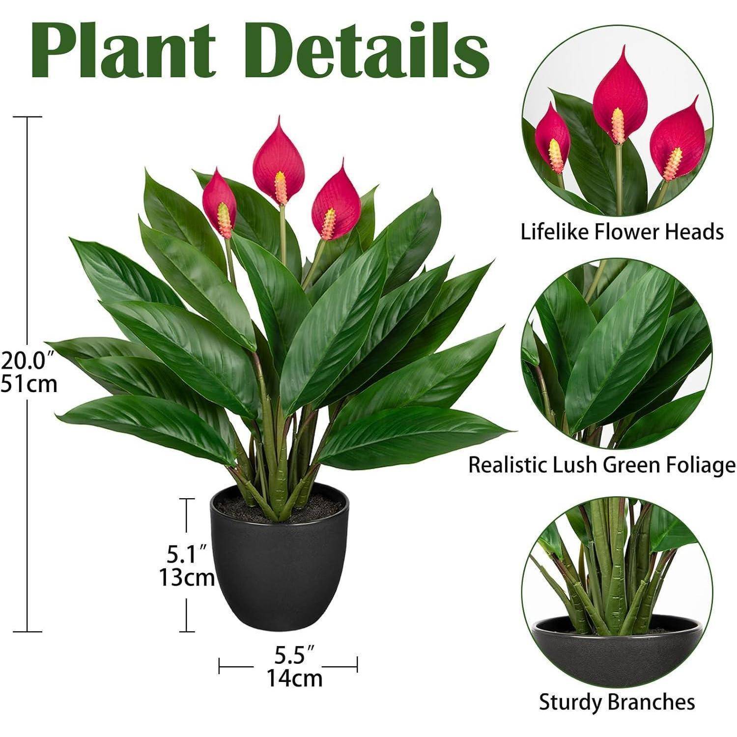 Künstliche Calathea Dekopflanze 43cm Kunstpflanze Grün 22 Blätter
