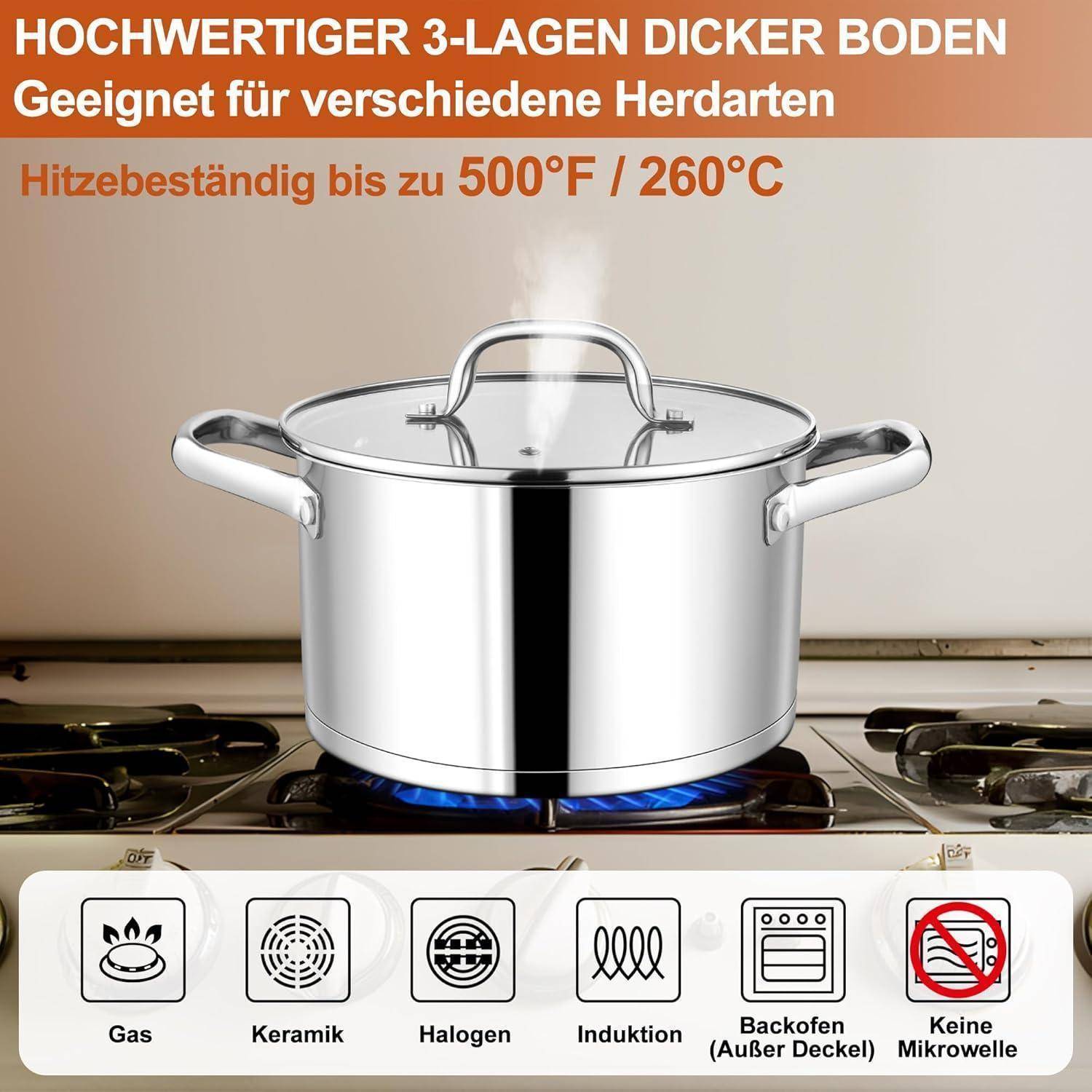 Ein silberner Topf mit Griffen auf einem Gasherd mit blauer Flamme. Text auf Deutsch besagt, dass er hitzbeständig bis zu 500°F/260°C ist. Symbole zeigen die Kompatibilität mit verschiedenen Herdflächen, ausgenommen Mikrowelle.