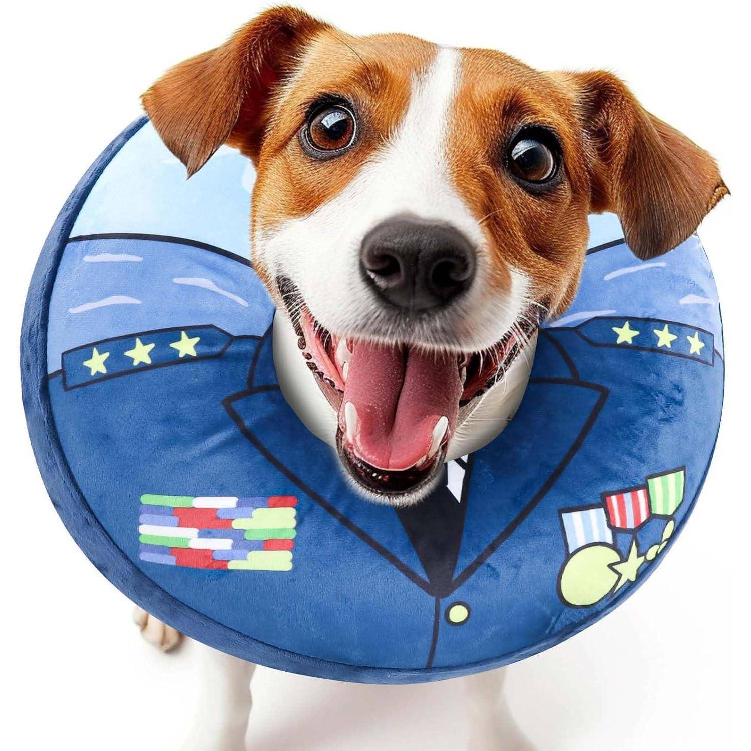 Ein Hund, der einen blauen militärischen Kegel mit Stern- und Medaillendesigns trägt und verspielt lächelt.