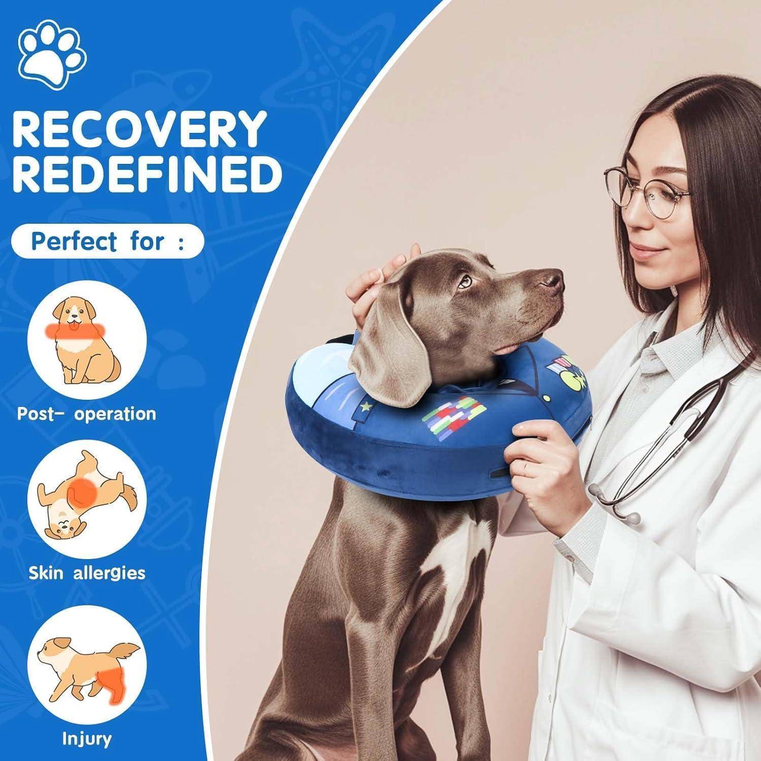 Ein Tierarzt lächelt, während er einen braunen Hund mit einem blauen aufblasbaren Halsband sanft hält. Der Text lautet 