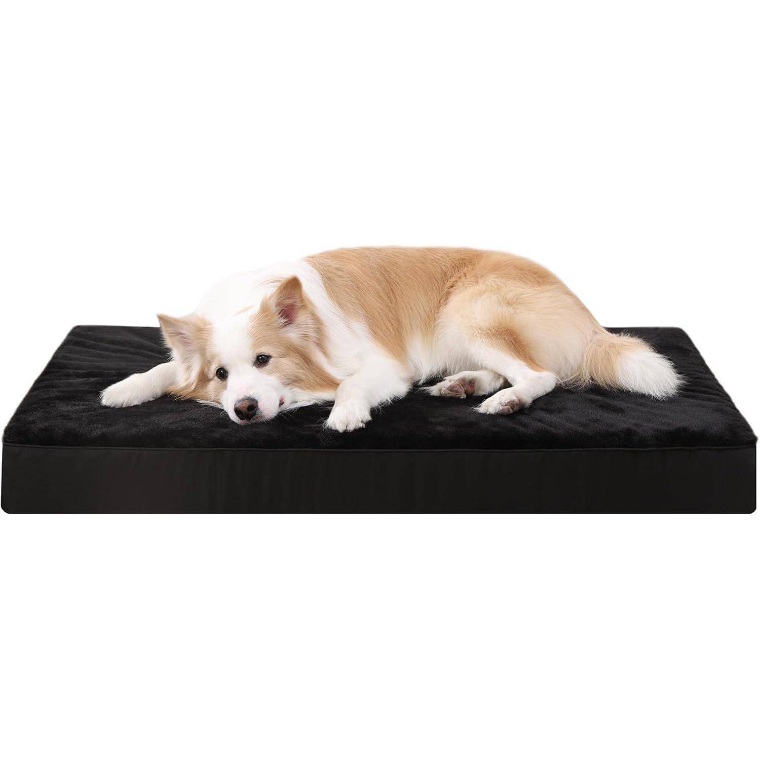 Ein Hund mit weiß-braunem Fell liegt auf einem schwarzen Tierbett und wirkt entspannt und behaglich.