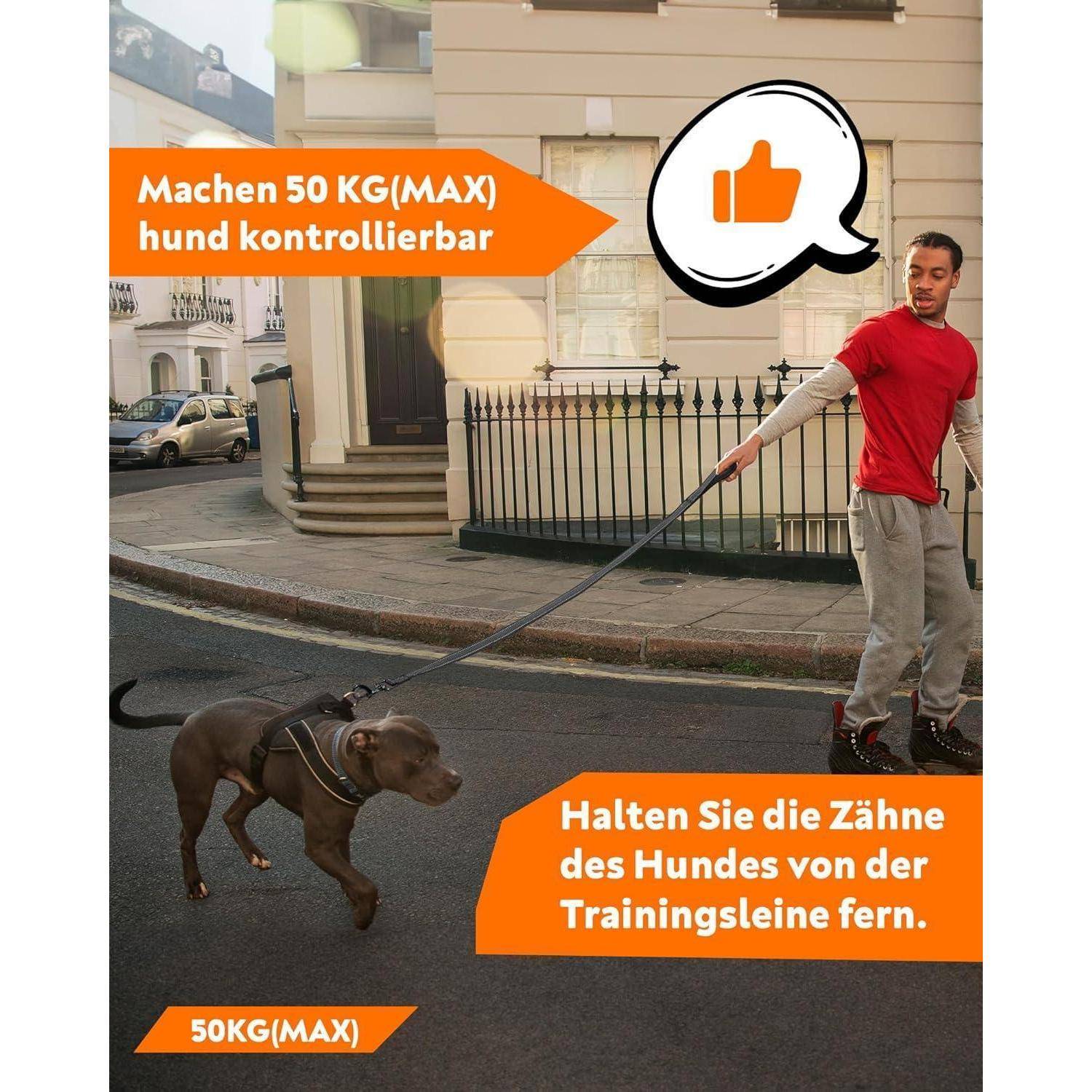 Eine Person in einem roten Hemd führt einen Hund an der Leine. Orange Kästen geben Anweisungen: „Kontrolle eines Hundes bis 50 KG (MAX)