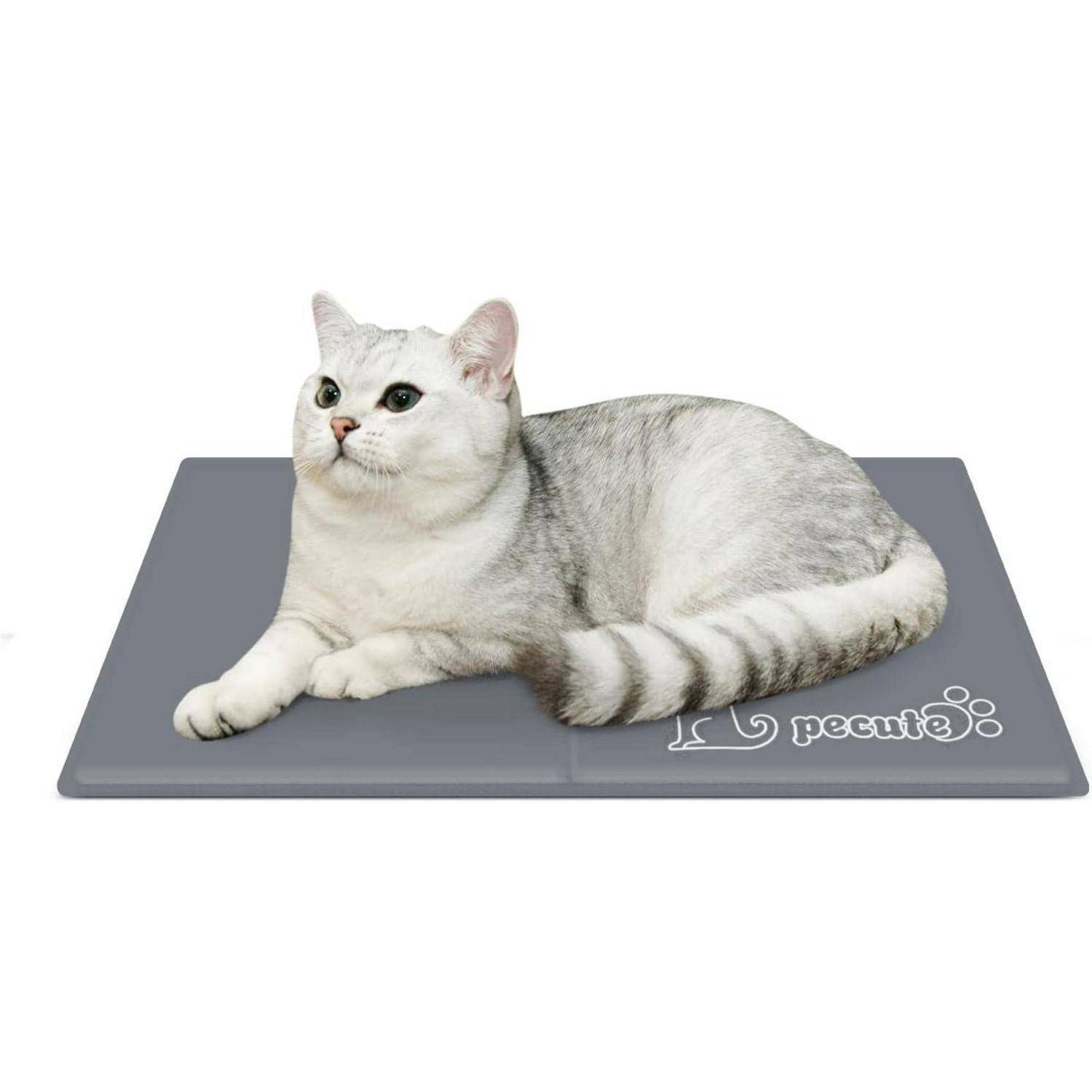 Eine graue und weiße Katze liegt auf einer grauen Kühlmatte, wobei ihr Schwanz um ihren Körper gewickelt ist. Die Matte trägt die Markenbezeichnung 'Pecute'.