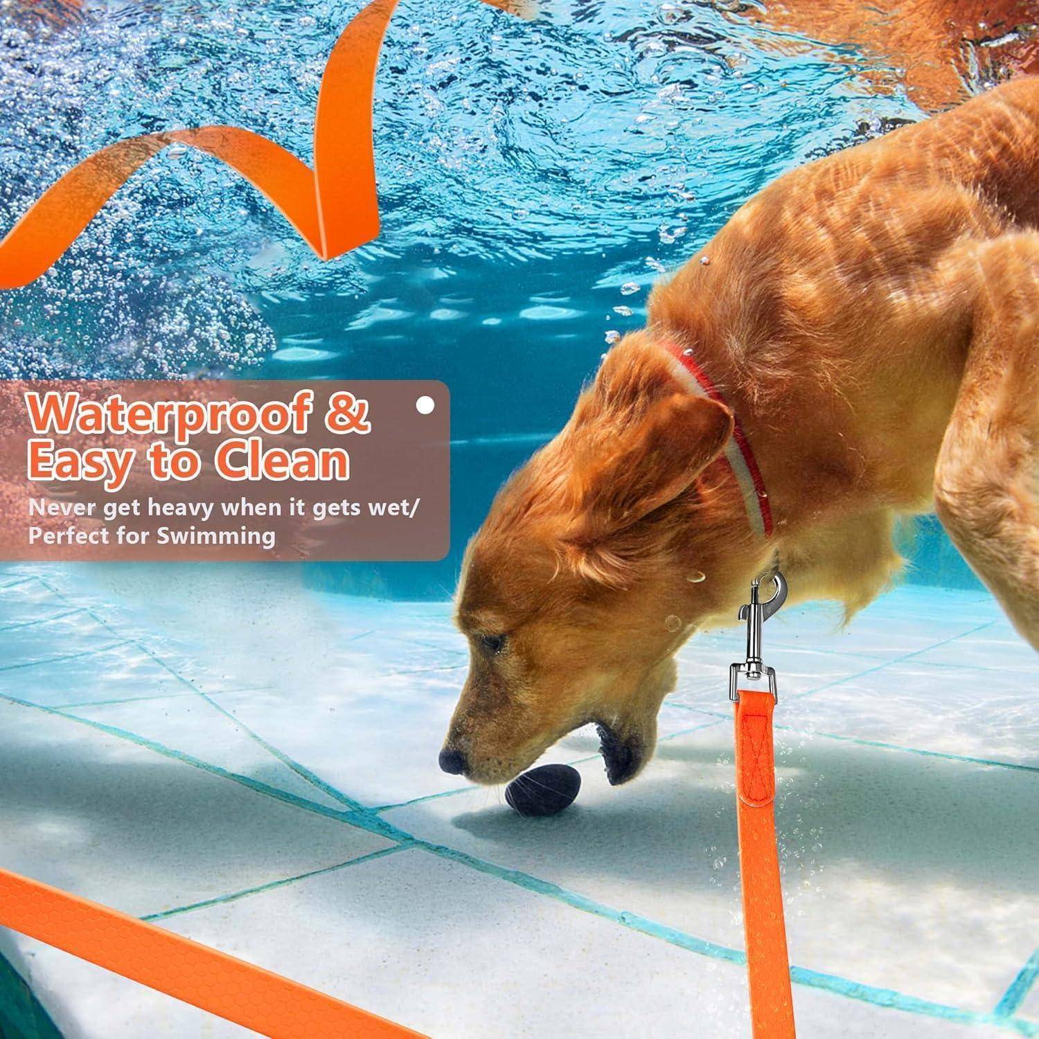 Ein Hund schwimmt in einem Pool und trägt ein orangefarbenes Halsband. Text lautet: 'Wasserdicht & Leicht zu reinigen - Wird nie schwer, wenn es nass wird/Perfekt zum Schwimmen'.