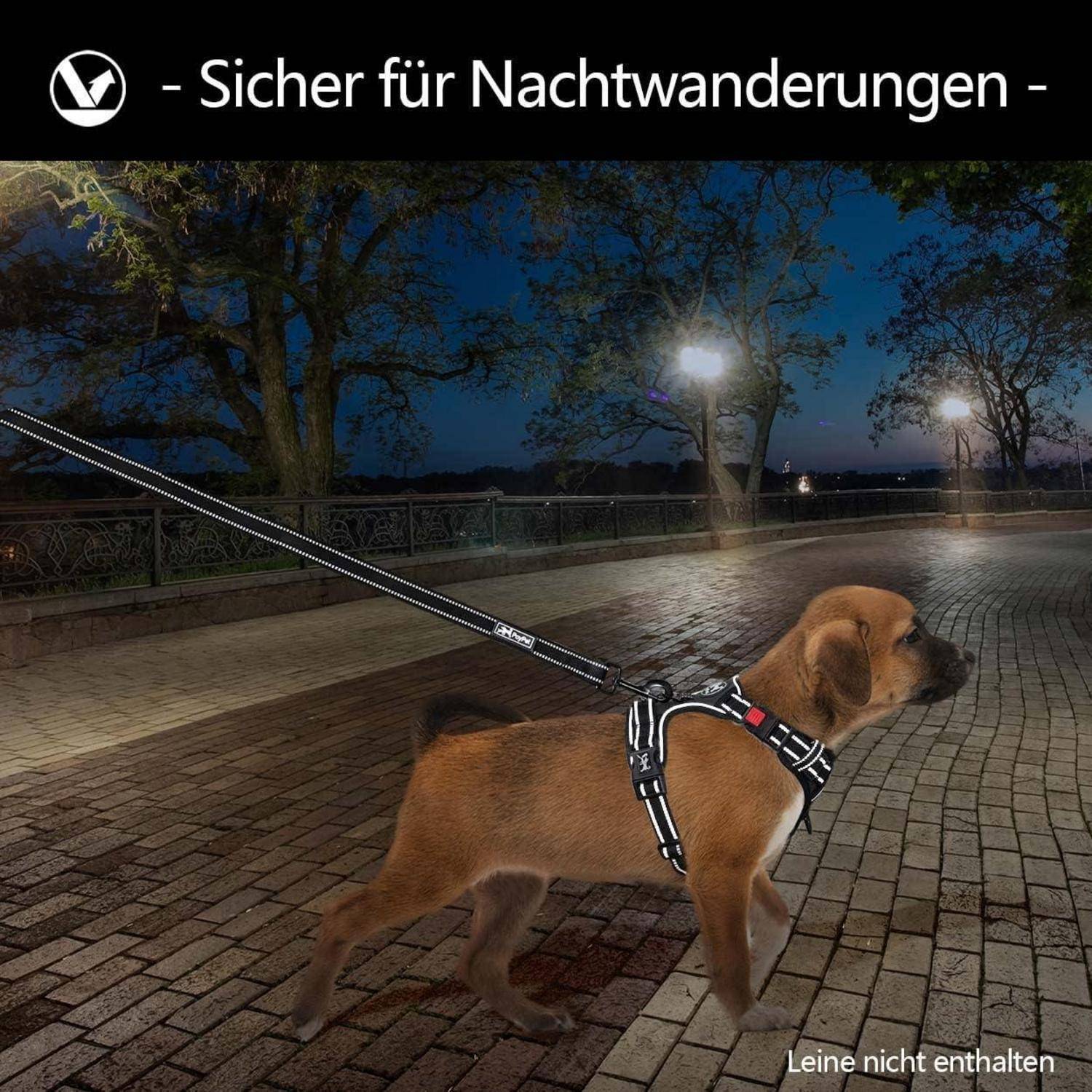 Ein Hund mit Geschirr wird von einer Straßenlaterne auf einem Kopfsteinpflasterweg bei Nacht beleuchtet. Die Überschrift darüber liest: 
