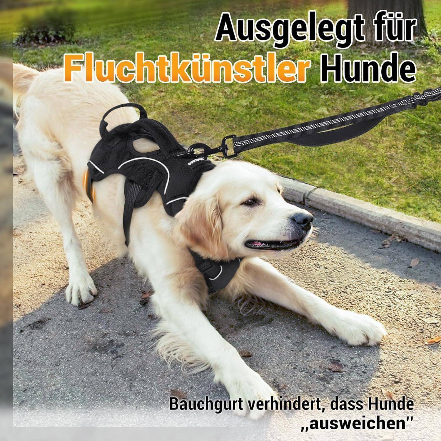Ein Hund, der an der Leine zieht, mit deutschem Text, der besagt: 'Ausgelegt für Fluchtkünstler Hunde' und 'Bauchgurt verhindert, dass Hunde ausweichen'.