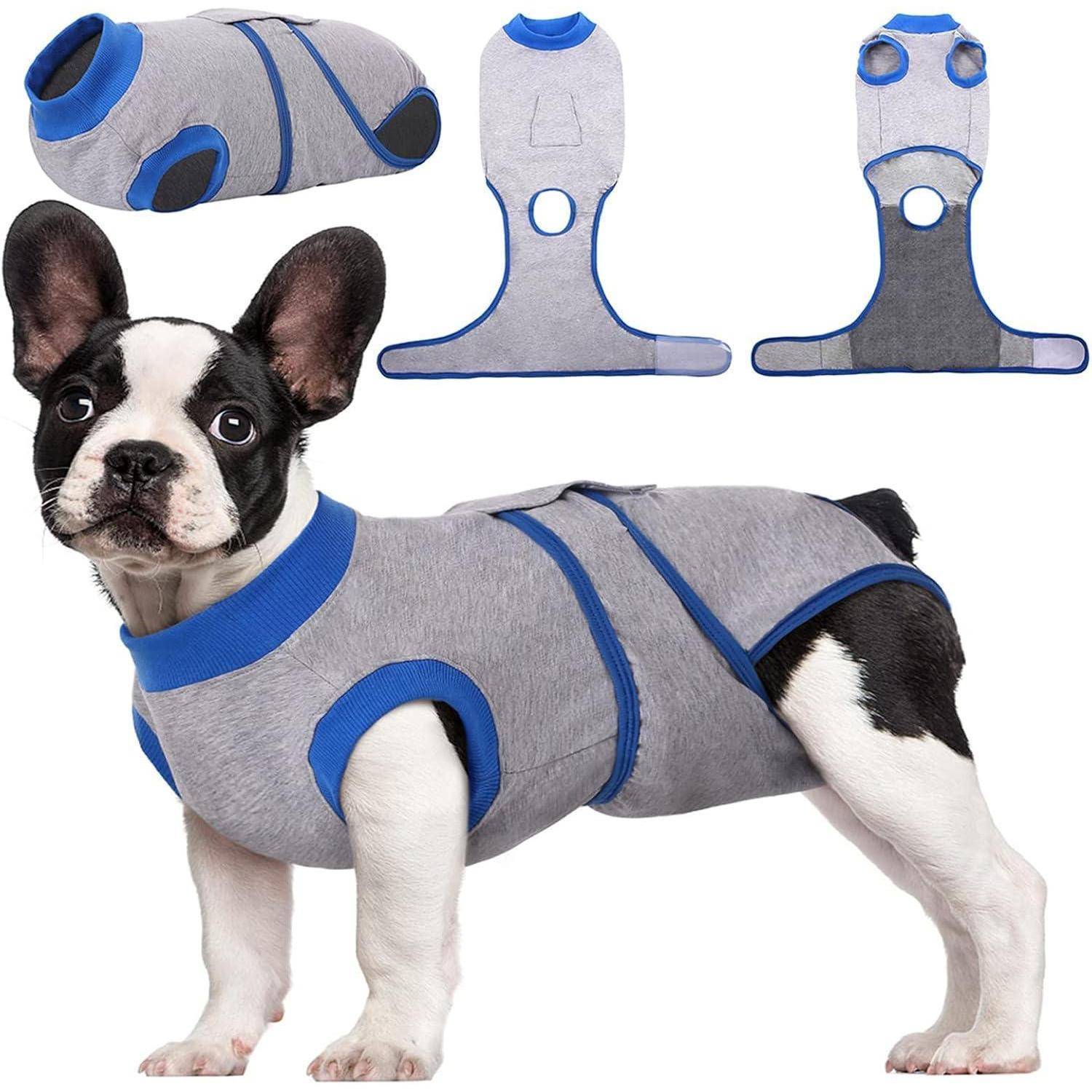 Ein kleiner Hund, der einen grau-blauen Pullover trägt, von der Seite abgebildet. Darüber sind Flachansichten des Vorder- und Rückdesigns des Pullover zu sehen.