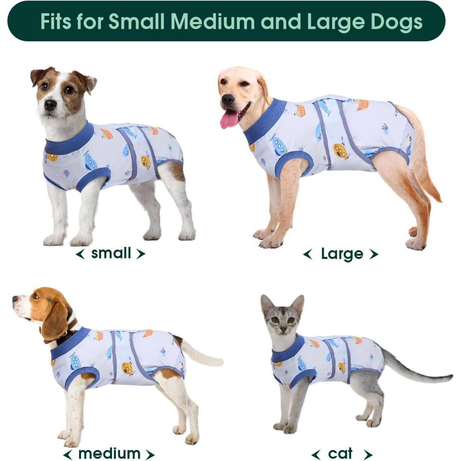 Vier Tiere in blau-weißen Outfits mit Fischbildern. Obertext lautet: 'Passt für kleine, mittlere und große Hunde'. Jedes ist beschriftet: kleiner Hund, großer Hund, mittlerer Hund und Katze.