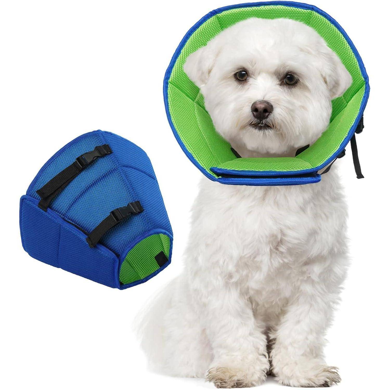 Ein kleiner weißer Hund, der einen grün-blauen Schutzkragen um den Hals trägt, sitzt neben einem weiteren ähnlichen Kragen.