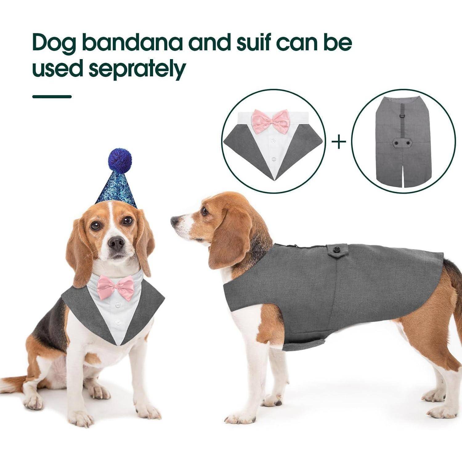 Ein Beagle mit Fliege-Bandana und Partyhut sitzt neben einem anderen Beagle in einem passenden Smoking. Text lautet: 