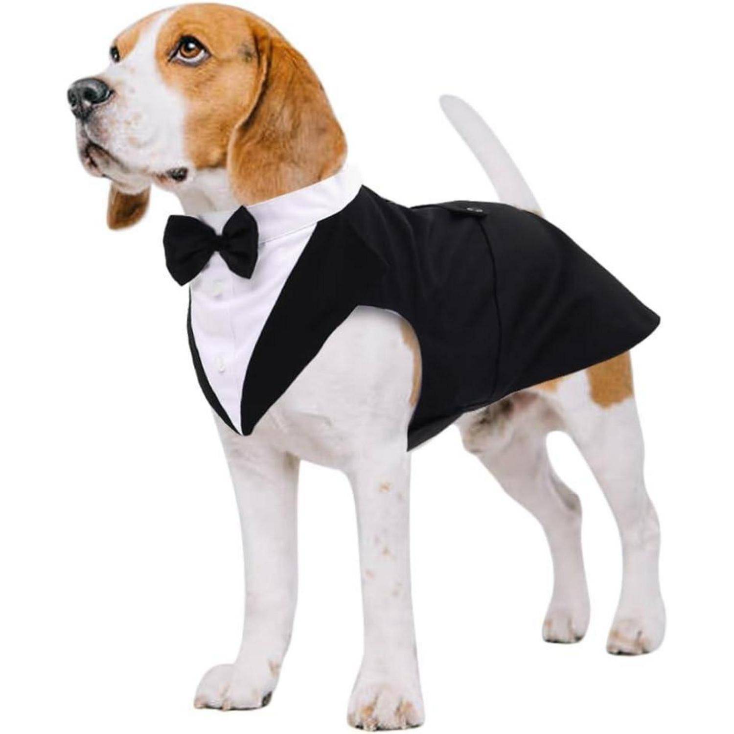 Hund Smokingshirt Bandana Set Haustier Hochzeit Halloween S-XXL