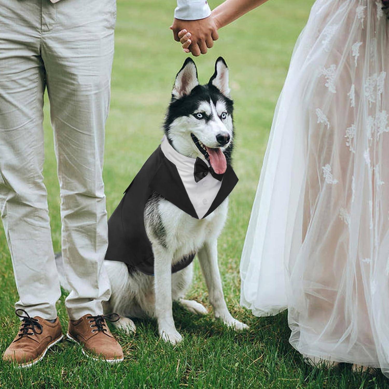 Ein Husky in einem Smoking sitzt zwischen einem Paar, das sich an den Händen hält und Hochzeitskleidung trägt, auf Gras. Die Szene vermittelt ein Hochzeitsthema.