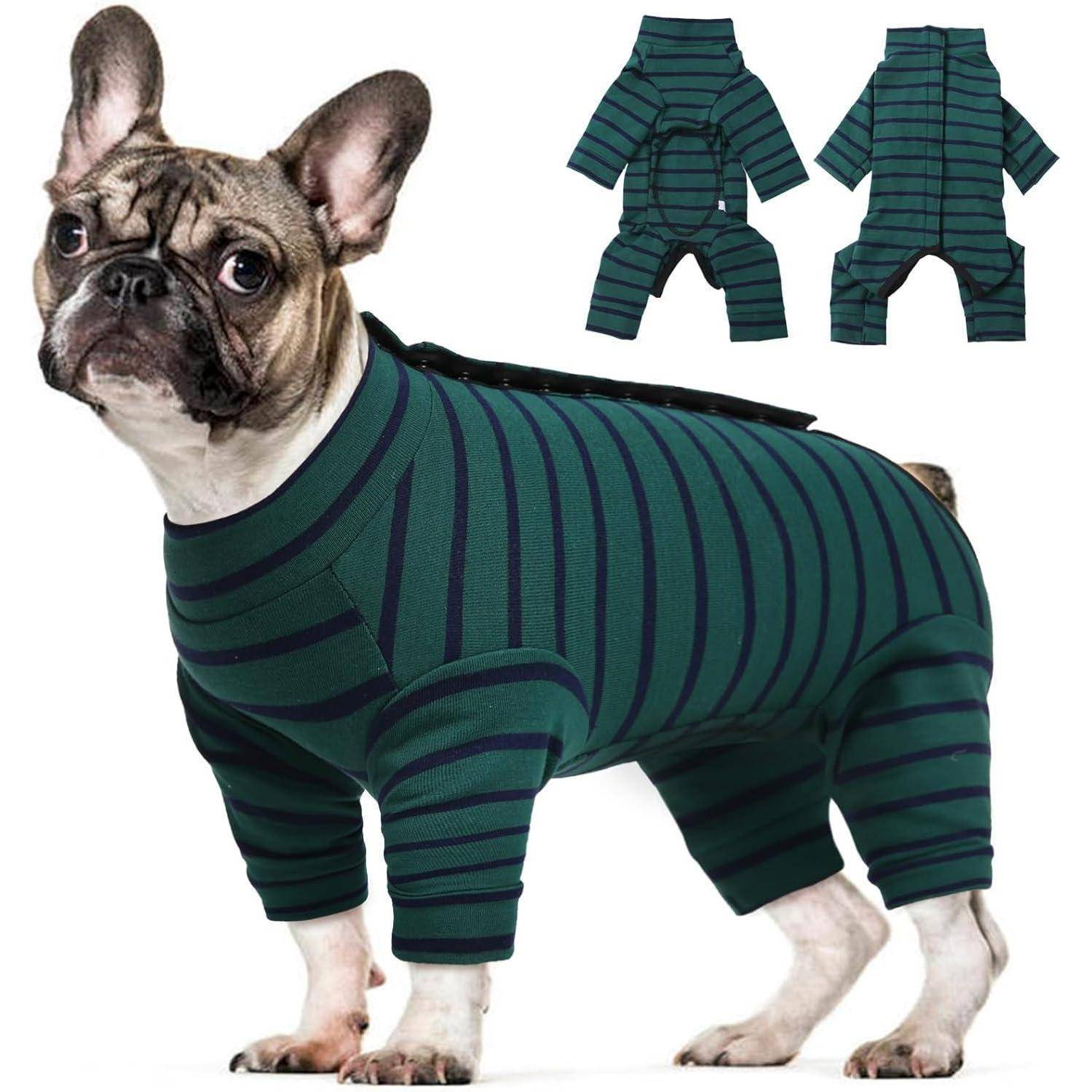 Ein Französische Bulldogge trägt einen grün-schwarz gestreiften Strampler und blickt zur Seite. Zwei kleinere Bilder des gleichen Outfits sind darüber abgebildet.