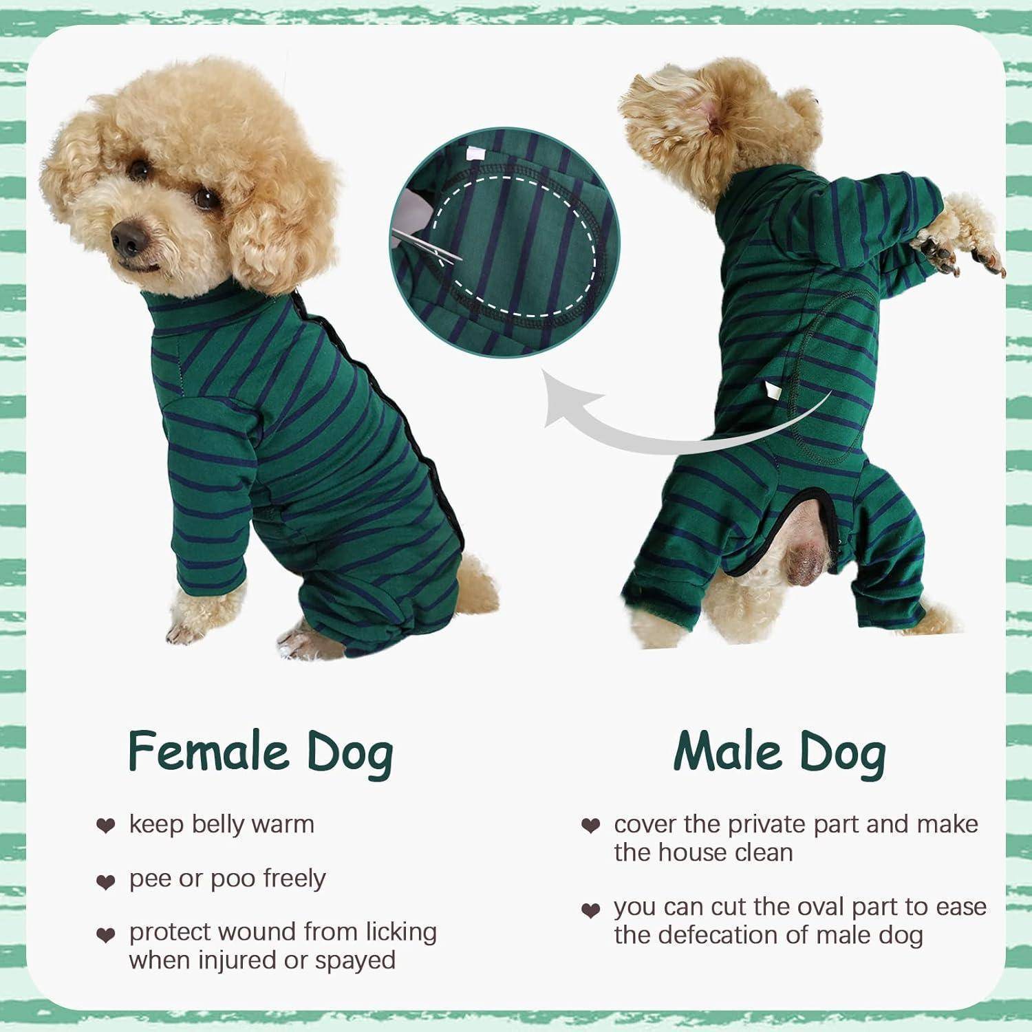 Zwei kleine Hunde, die grün gestreifte Pyjamas tragen, einer mit dem Etikett 