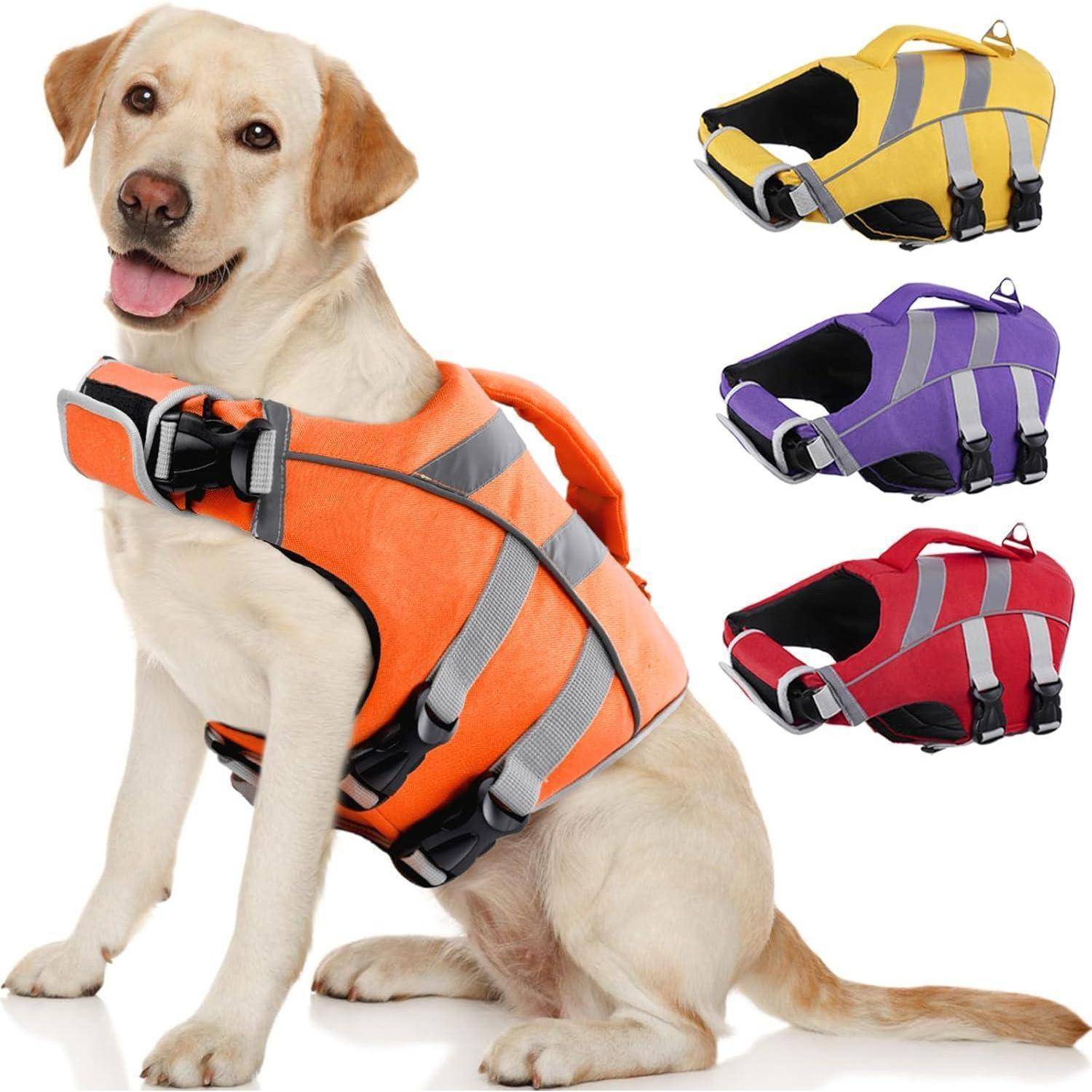 Ein Labrador, der eine orangefarbene Schwimmweste trägt, sitzt, während drei weitere Schwimmwesten in Gelb, Violett und Rot rechts daneben sichtbar sind.