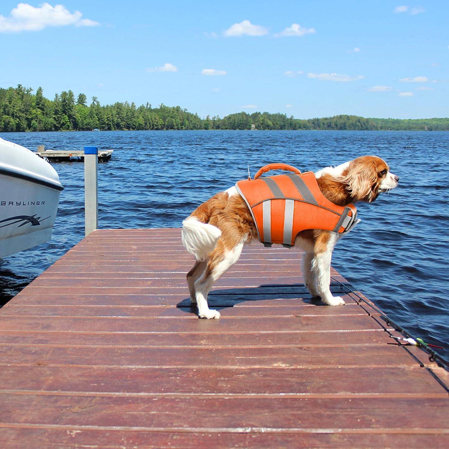 Ein Hund mit einer orangefarbenen Schwimmweste steht auf einem Holzsteg an einem See. Im Hintergrund sind Bäume und ein teilweise bewölkter Himmel zu sehen.