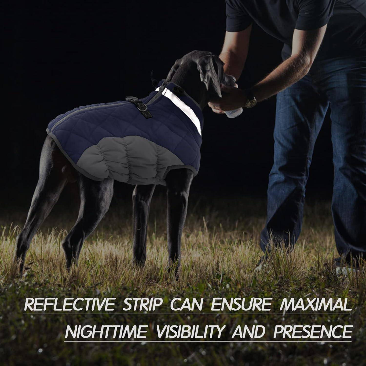 Ein schwarzer Hund, der eine reflektierende Warnweste trägt, mit einer Person, die daneben steht und die Sichtbarkeit und Präsenz während der Nachtzeit betont.