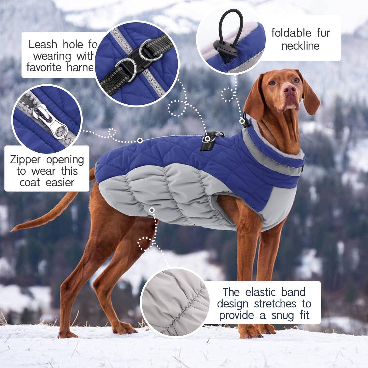 Hund mit einer blau-grauen Jacke, an der folgende Merkmale gekennzeichnet sind: Leinenloch, zusammenlegbarer Pelzkragen, Reißverschluss, elastischer Bund für eine enge Passform. Verschneiter Hintergrund.